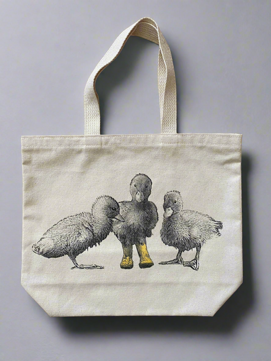 Ducklings With Boots