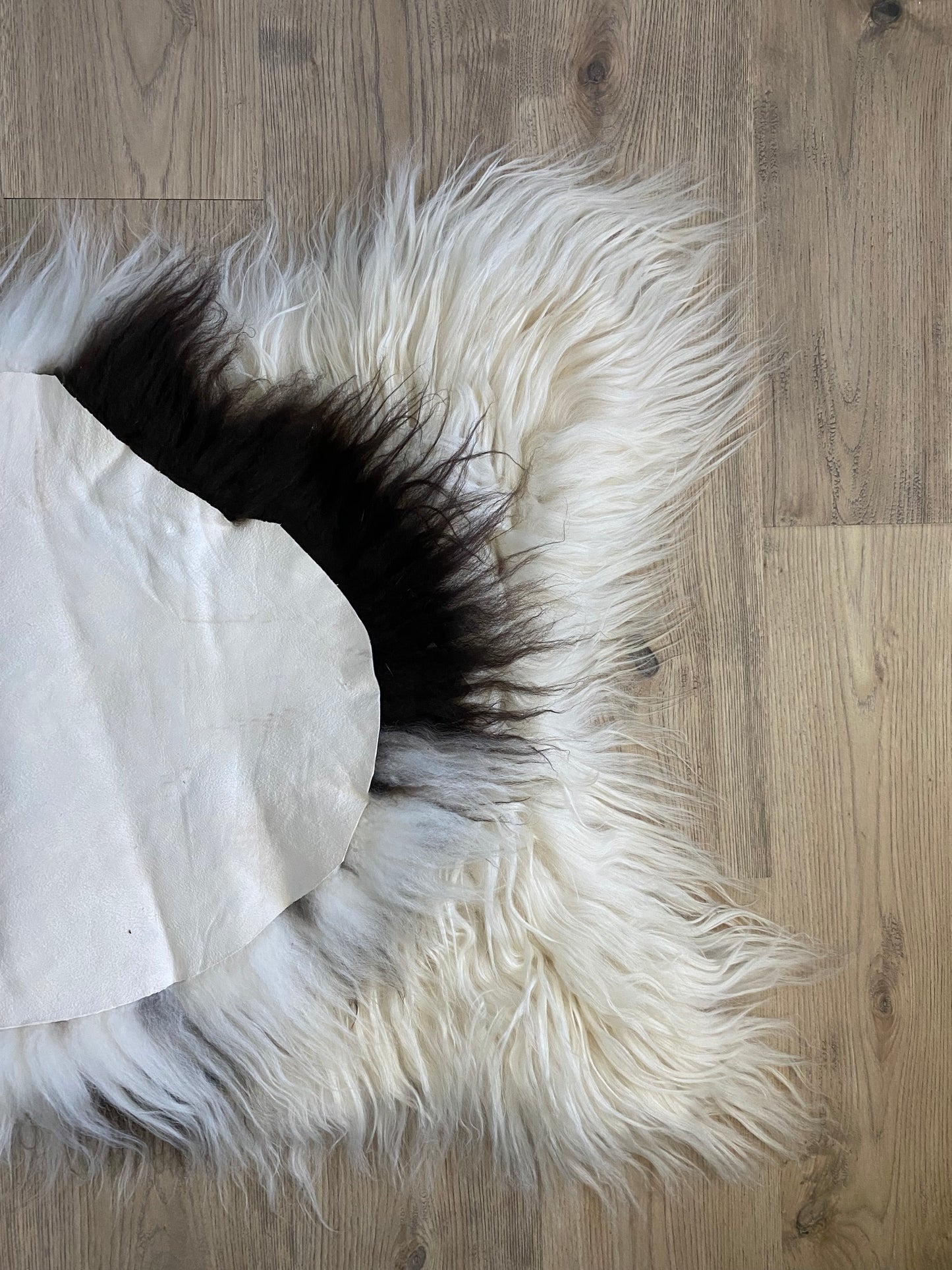 Spotted Brown Icelandic Sheepskin