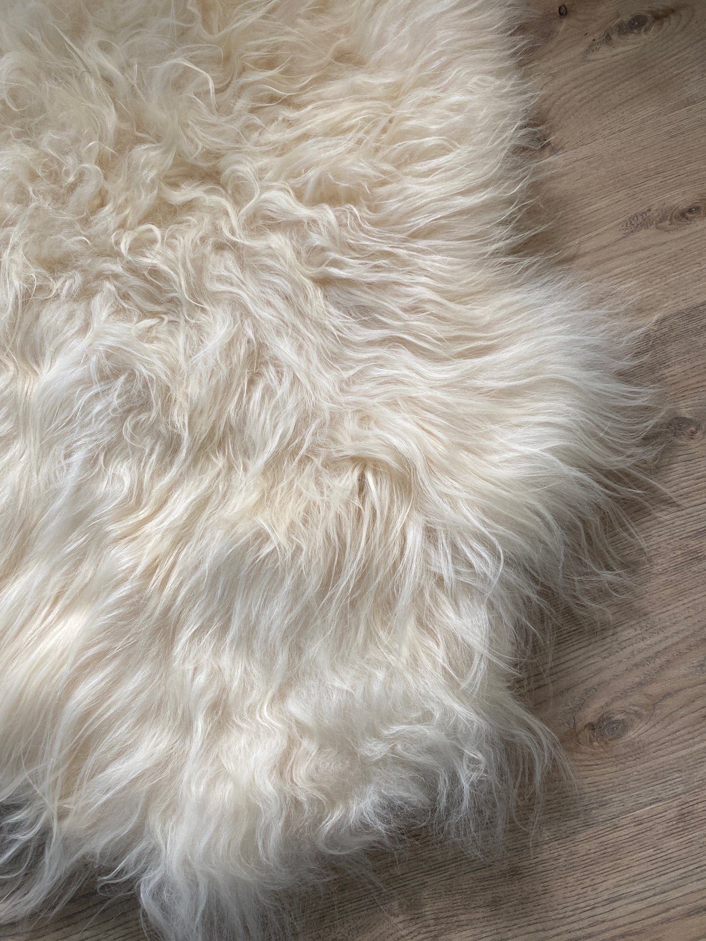 Creamy White Real Icelandic Sheepskin