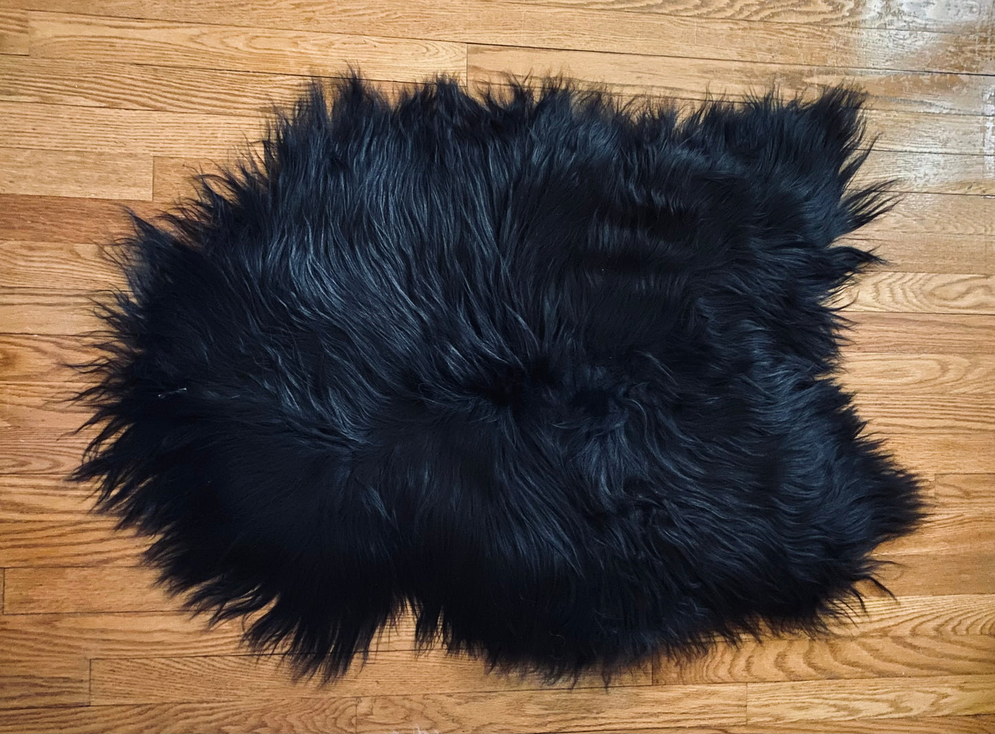 Smol Black Icelandic Sheepskin