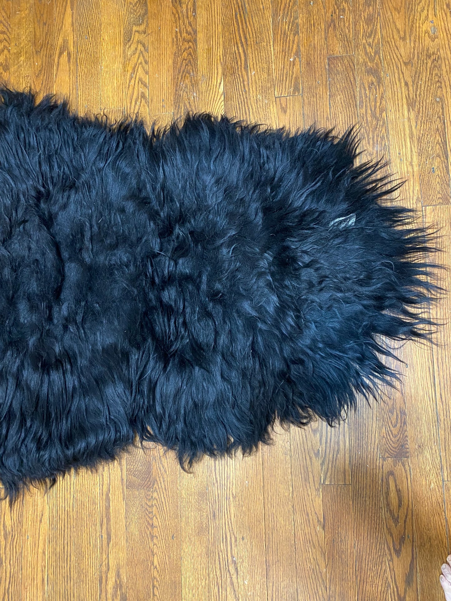 Snuggle Monster Icelandic Sheepskin