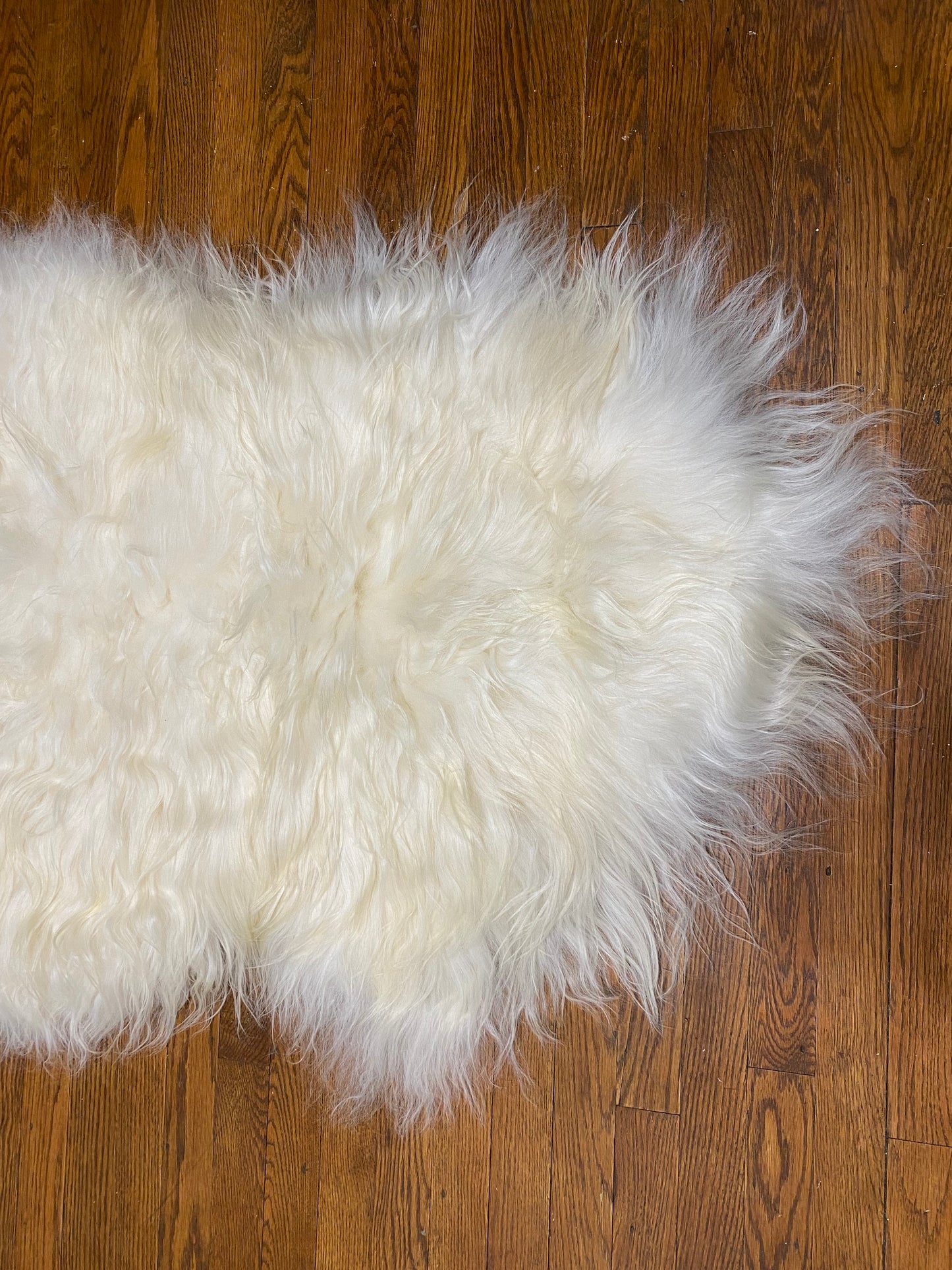 Pretty Big White Icelandic Sheepskin
