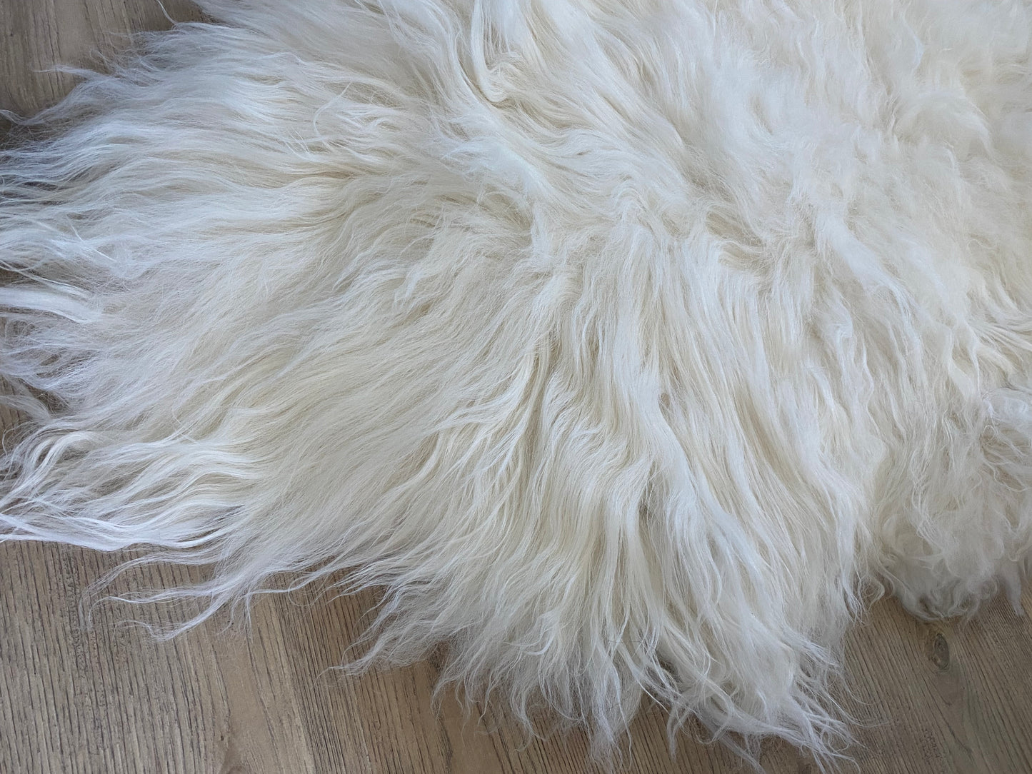 Genuine Icelandic Sheepskin White With Super Secret Stripe