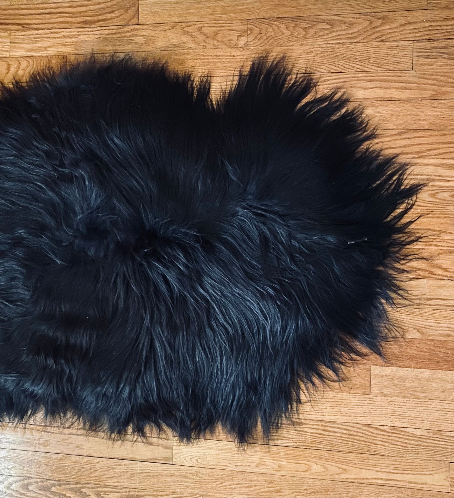 Smol Black Icelandic Sheepskin