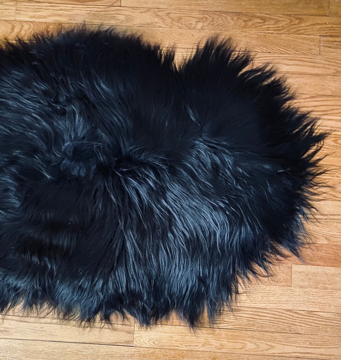 Smol Black Icelandic Sheepskin