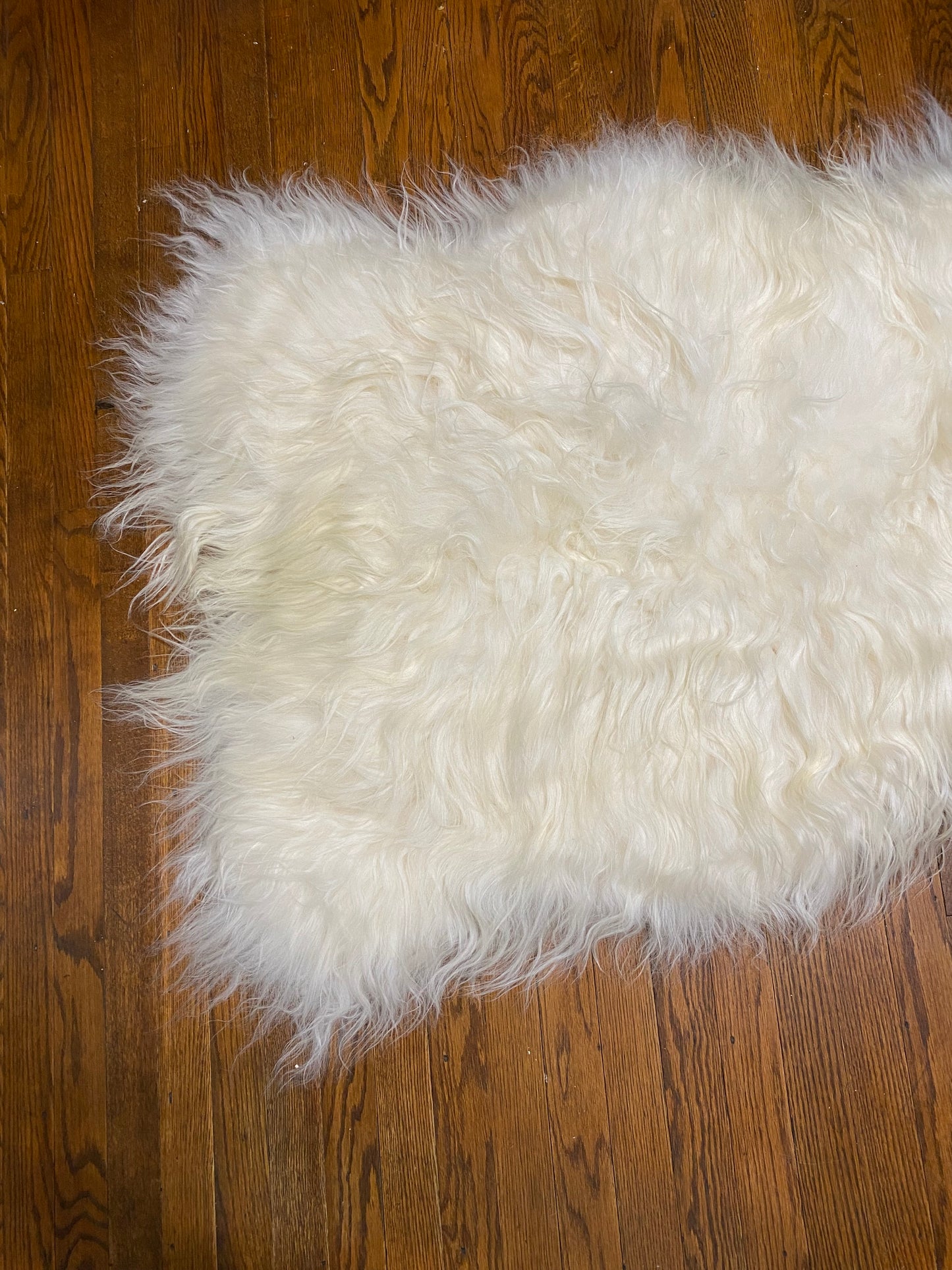 Pretty Big White Icelandic Sheepskin