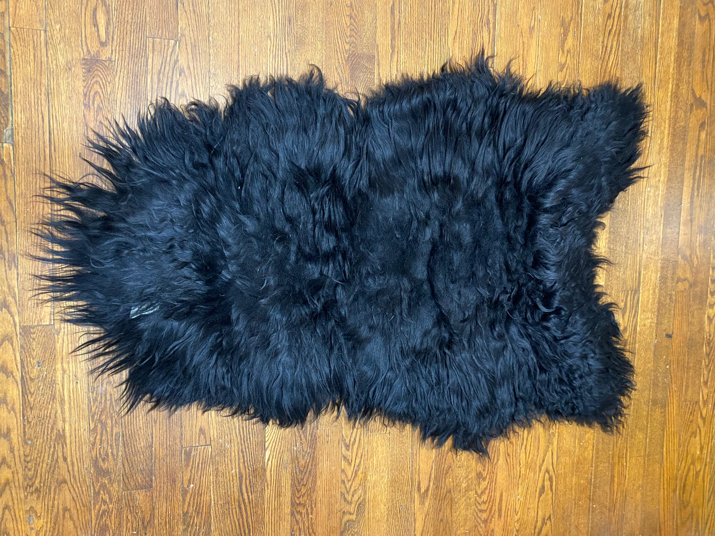 Snuggle Monster Icelandic Sheepskin