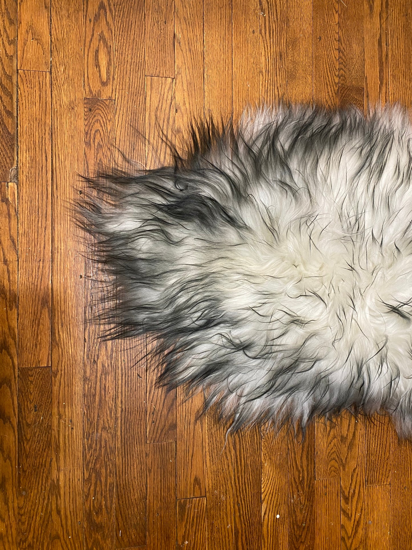 The All-Purpose, Bring-It-Everywhere Sheepskin
