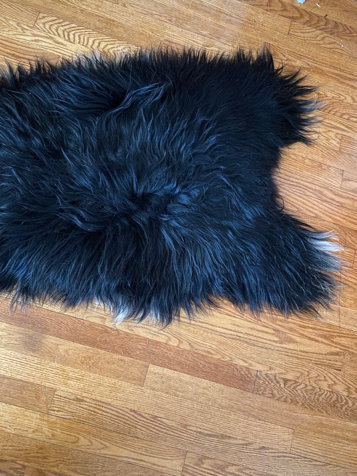 Black with White and Silver Icelandic Sheepskin