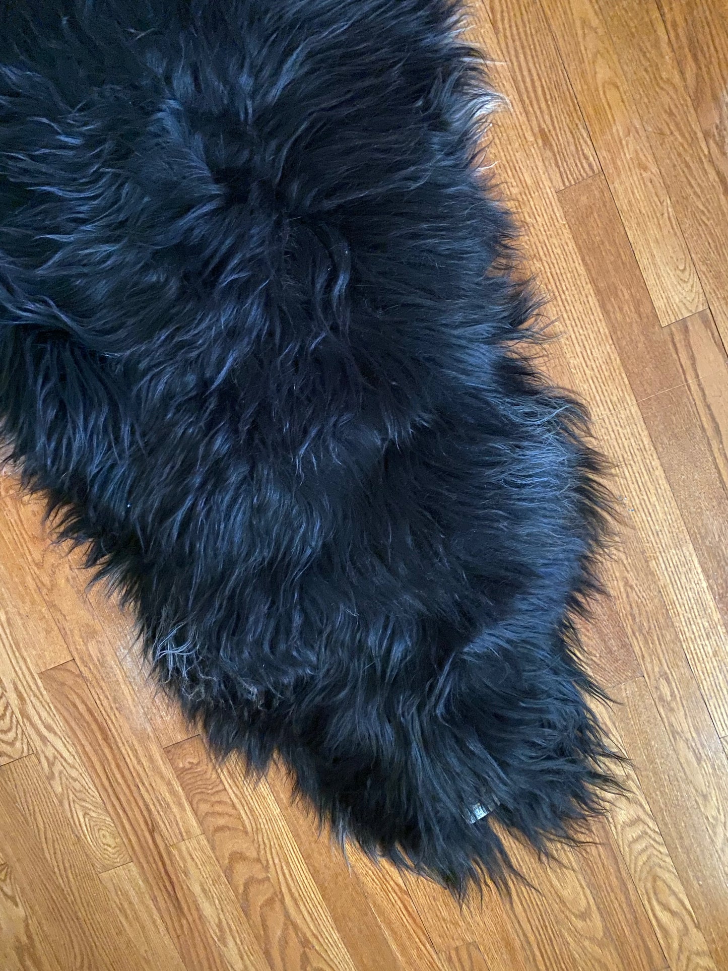 Black with White and Silver Icelandic Sheepskin