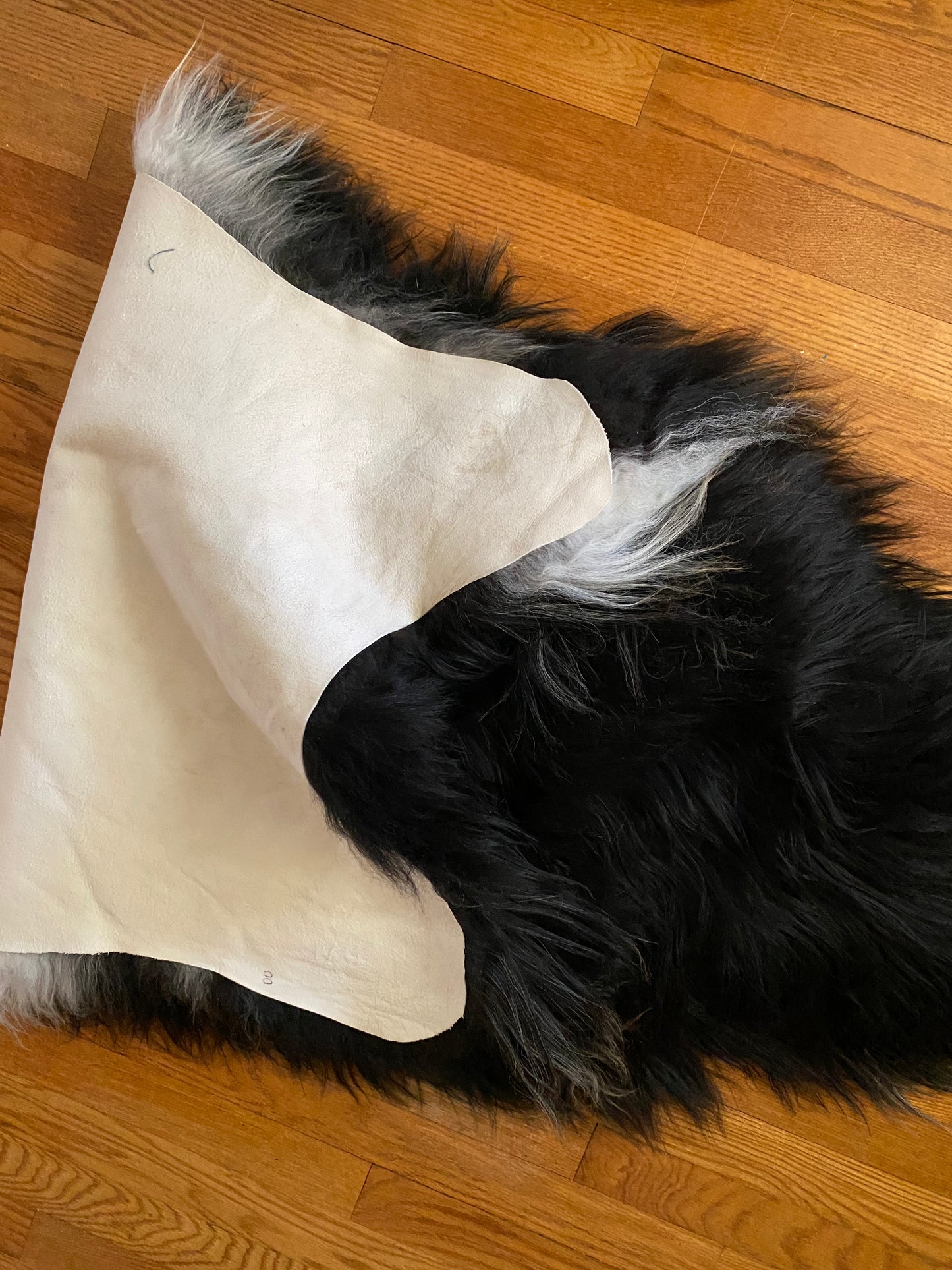 Black with White and Silver Icelandic Sheepskin