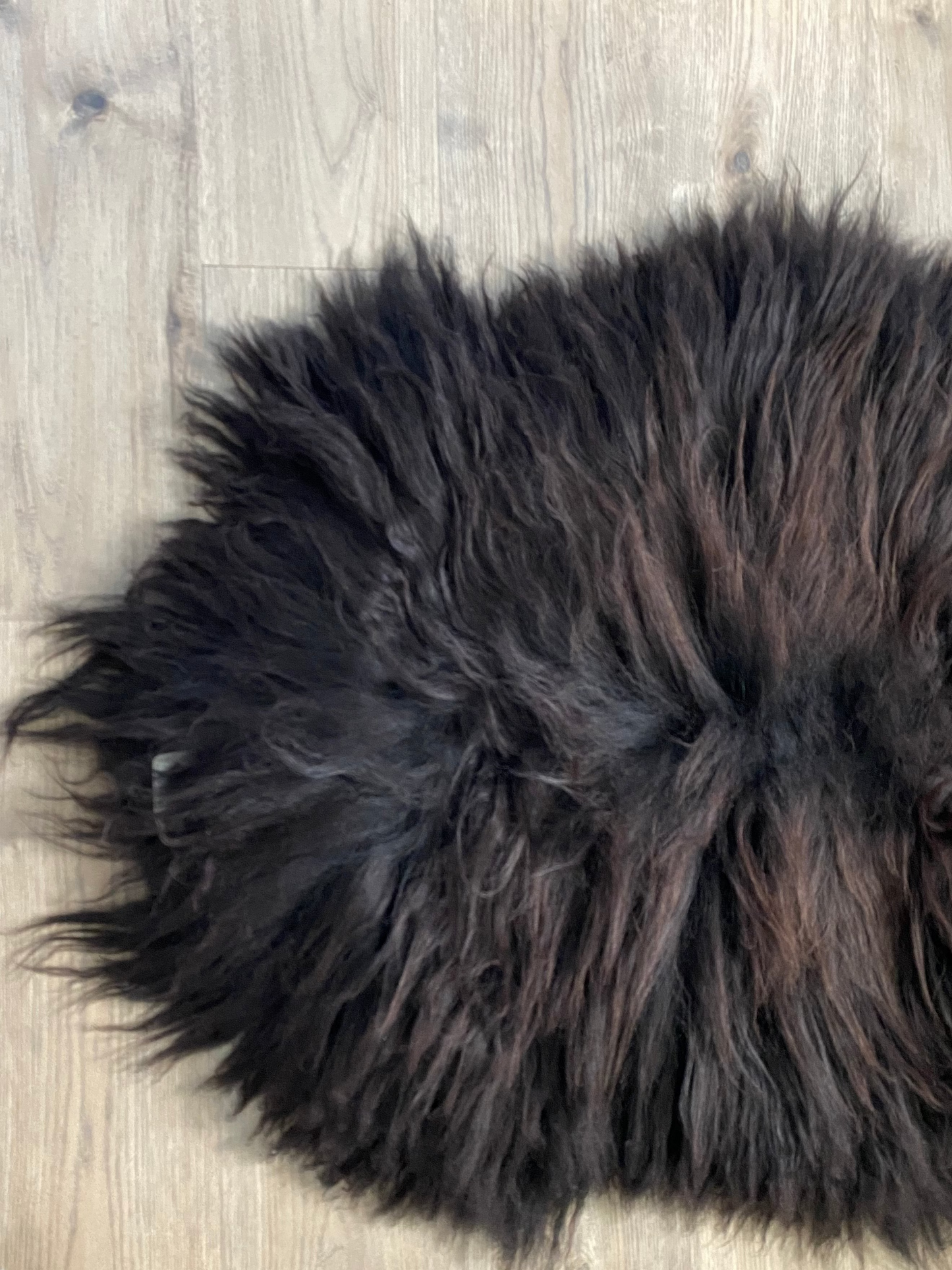 Chocolate Brown Genuine Viking Sheepskin