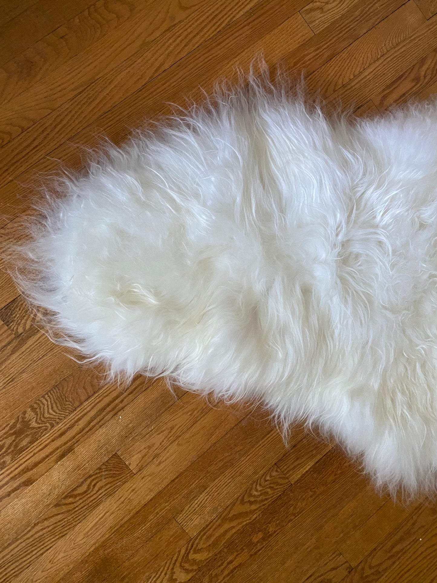 White Icelandic Sheepskin