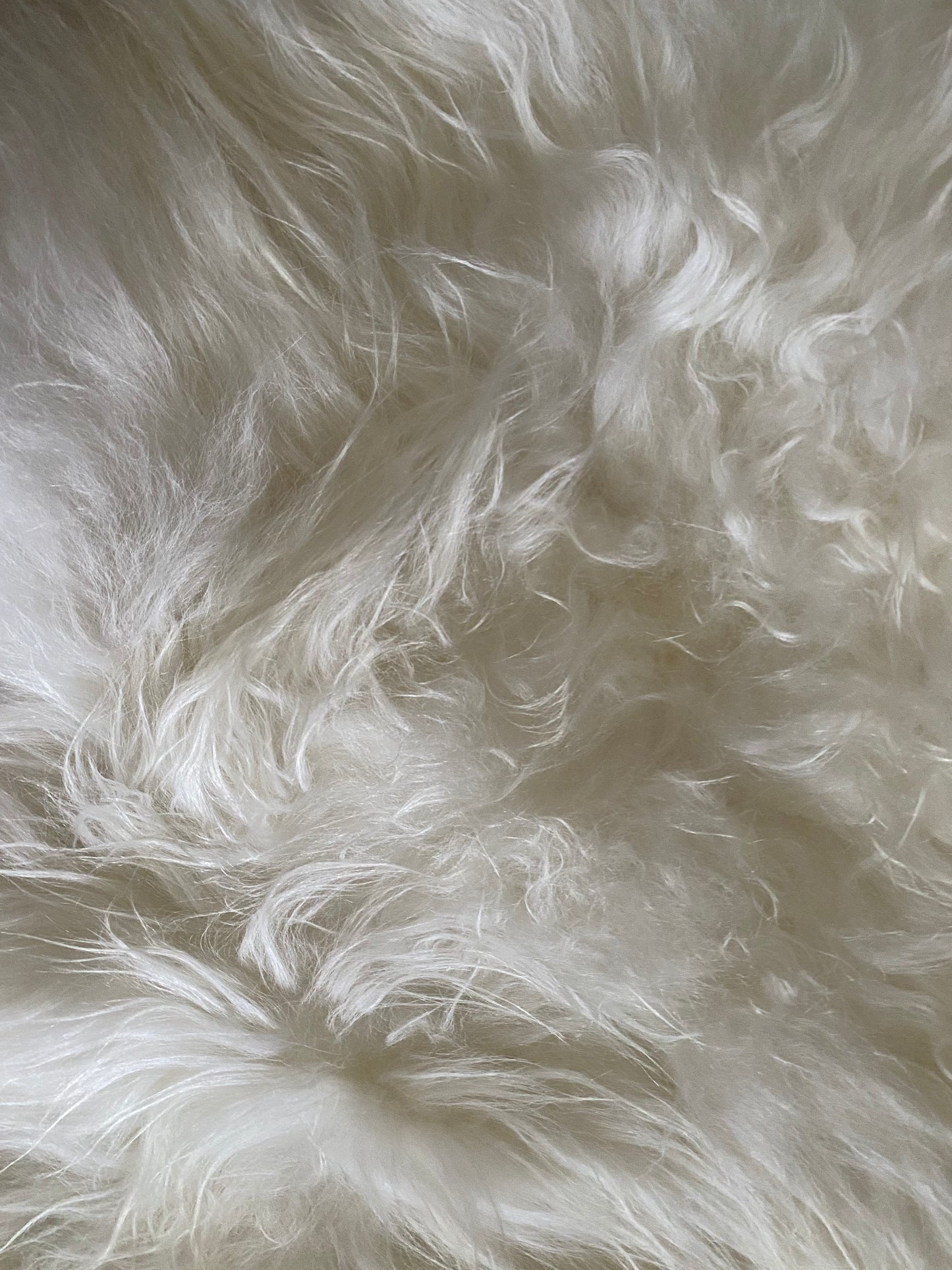 White Icelandic Sheepskin