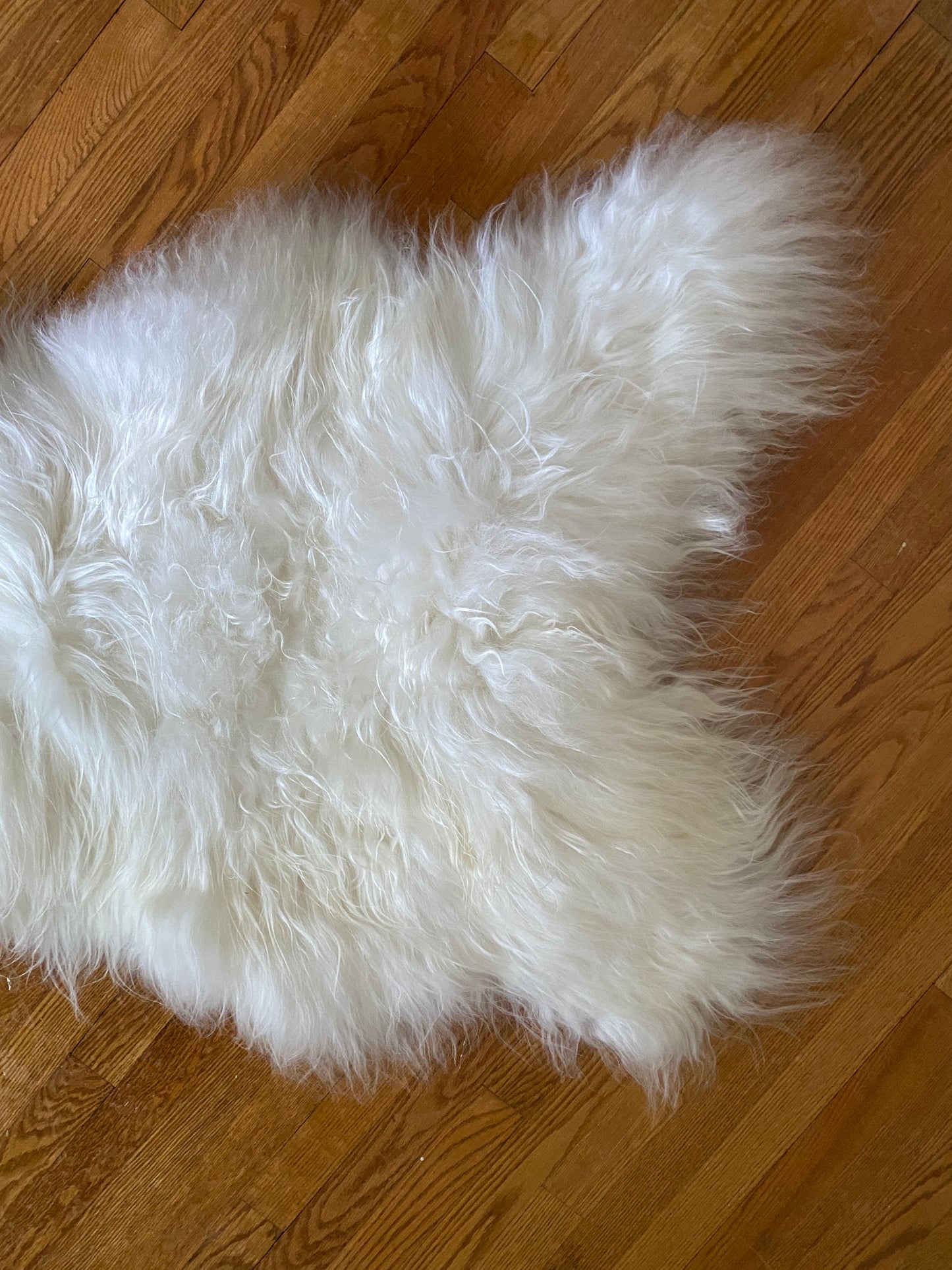 White Icelandic Sheepskin