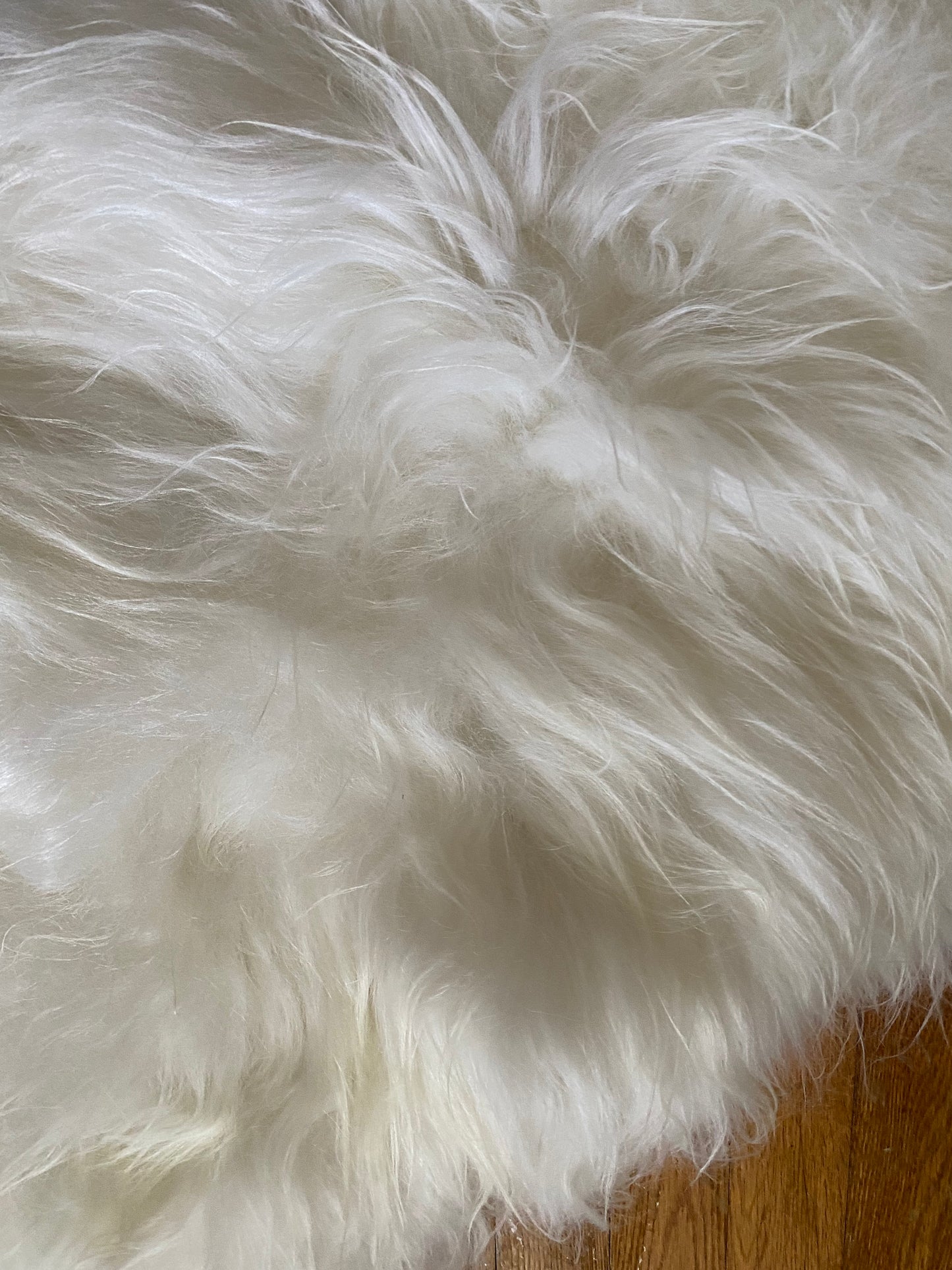 White Icelandic Sheepskin