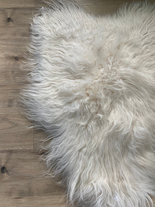 Real Icelandic Sheepskin White With Just a Little Bit of Cream