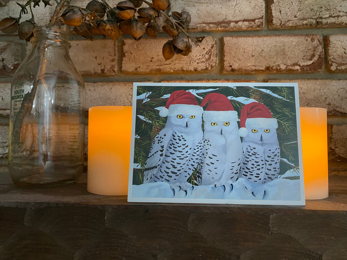 Santa Owls Christmas Card