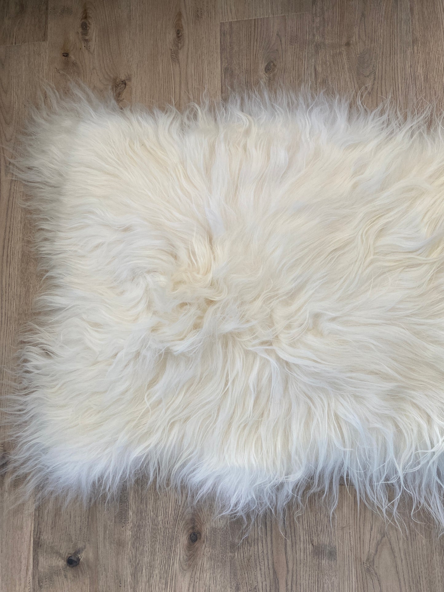 Genuine Icelandic Sheepskin White It Will Never Go Out of Style