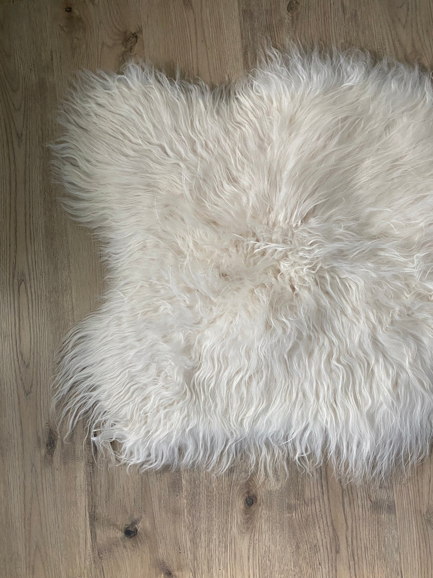 Real Icelandic Sheepskin White With Just a Little Bit of Cream