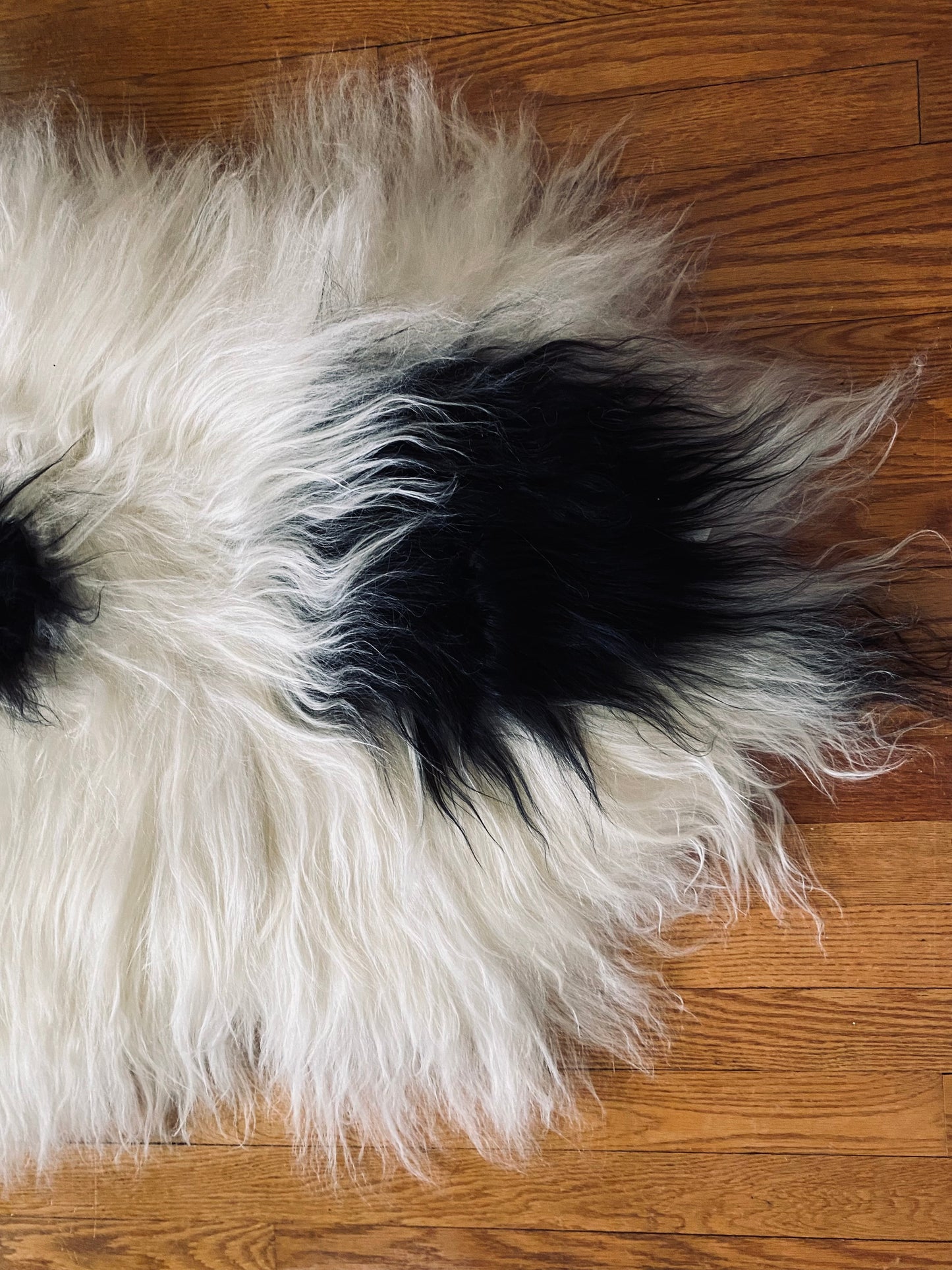 Super Silky Friend