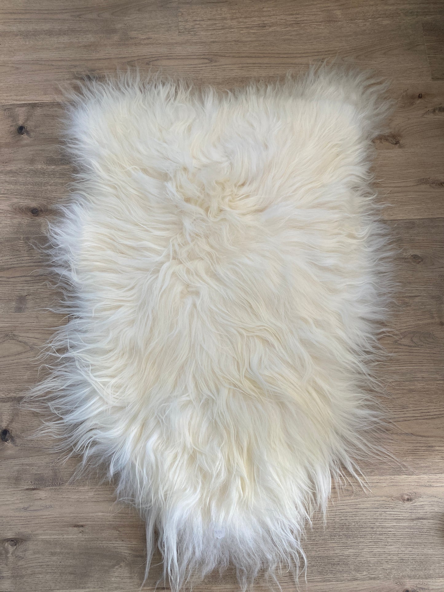 Genuine Icelandic Sheepskin White It Will Never Go Out of Style