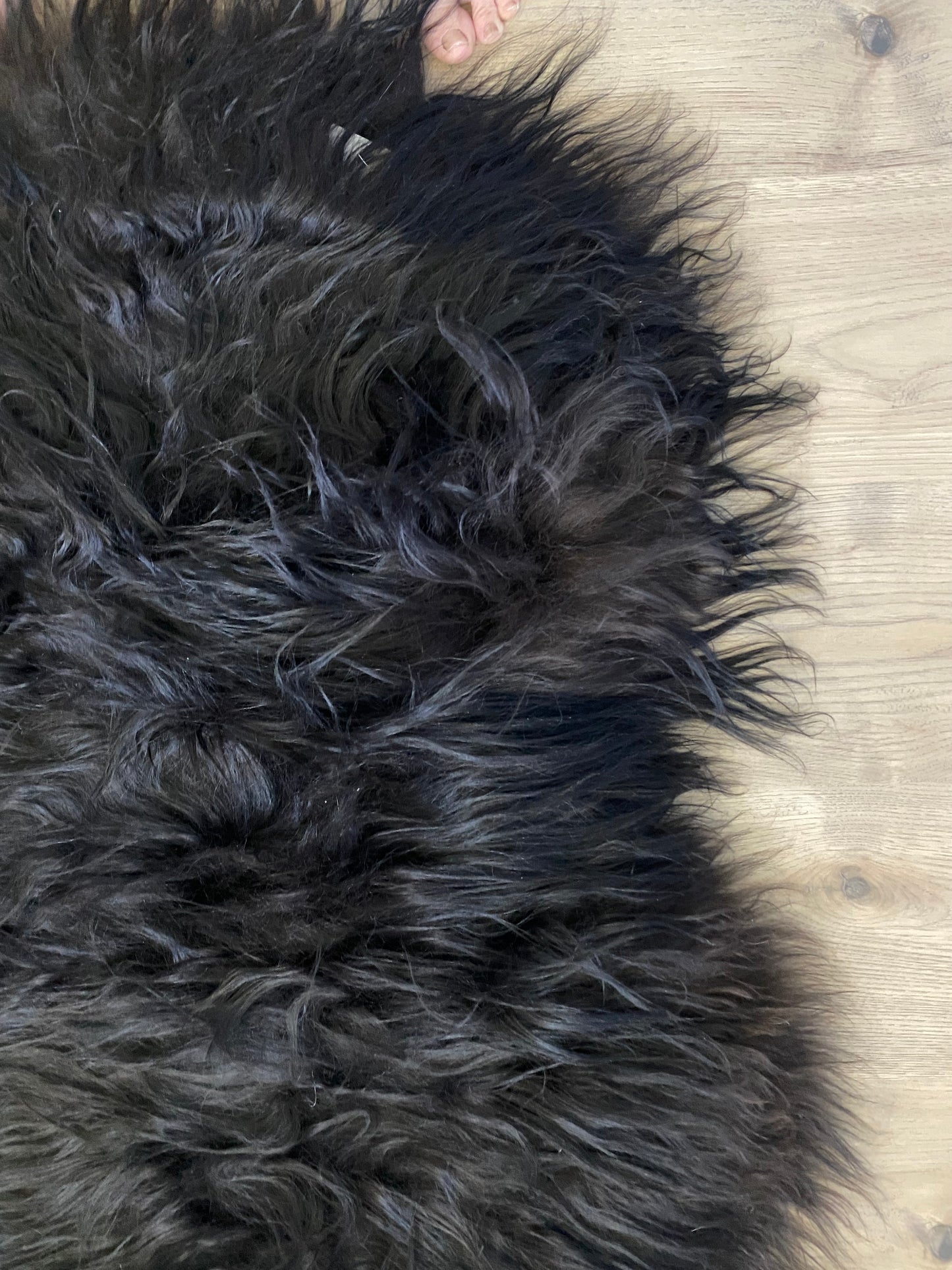 Black/Chocolate Brown Real Icelandic Sheepskin