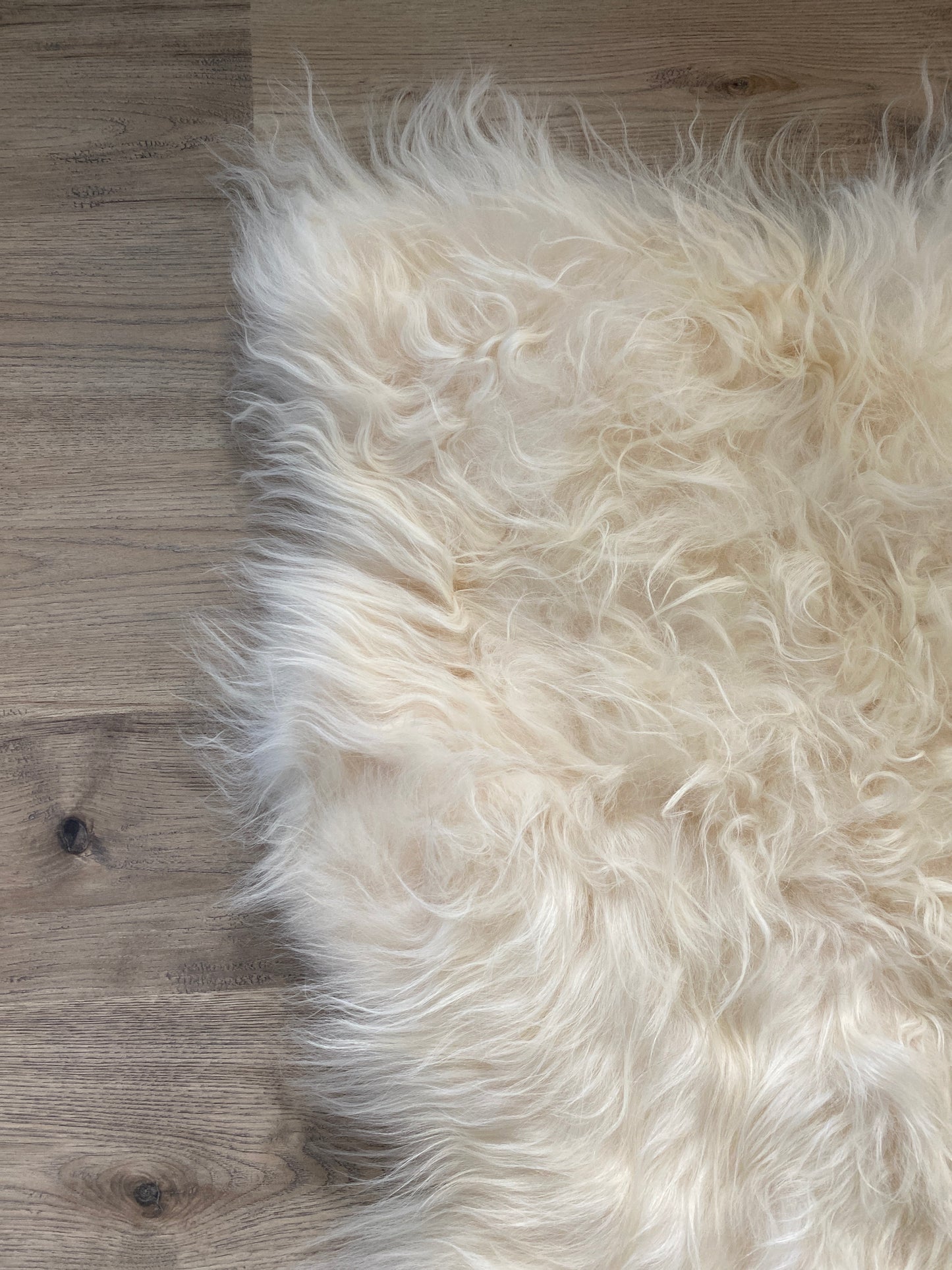 Creamy White Real Icelandic Sheepskin