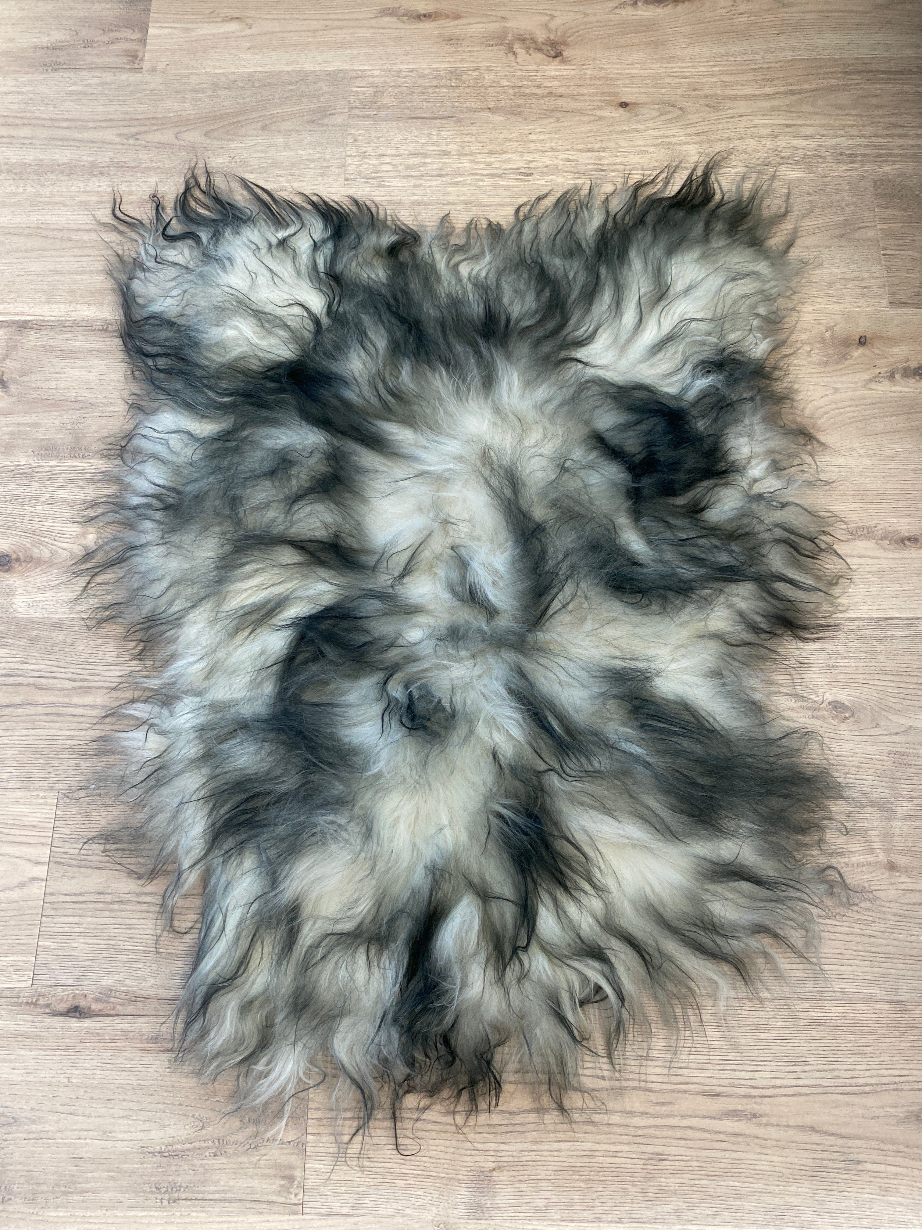 Where Have You Been All My Life?! Black Tipped Icelandic Sheepskin