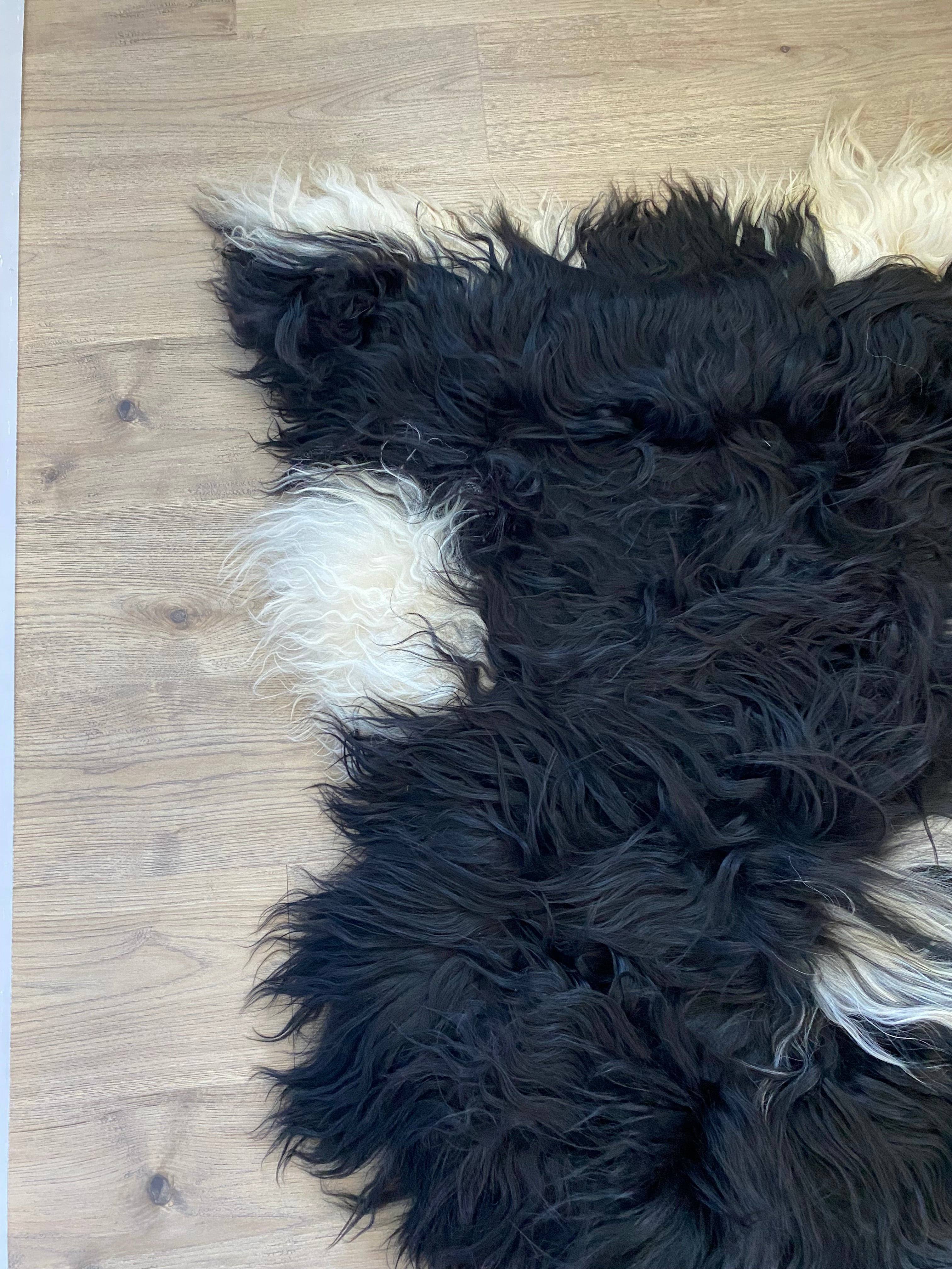 True Black Piebald Icelandic Sheepskin