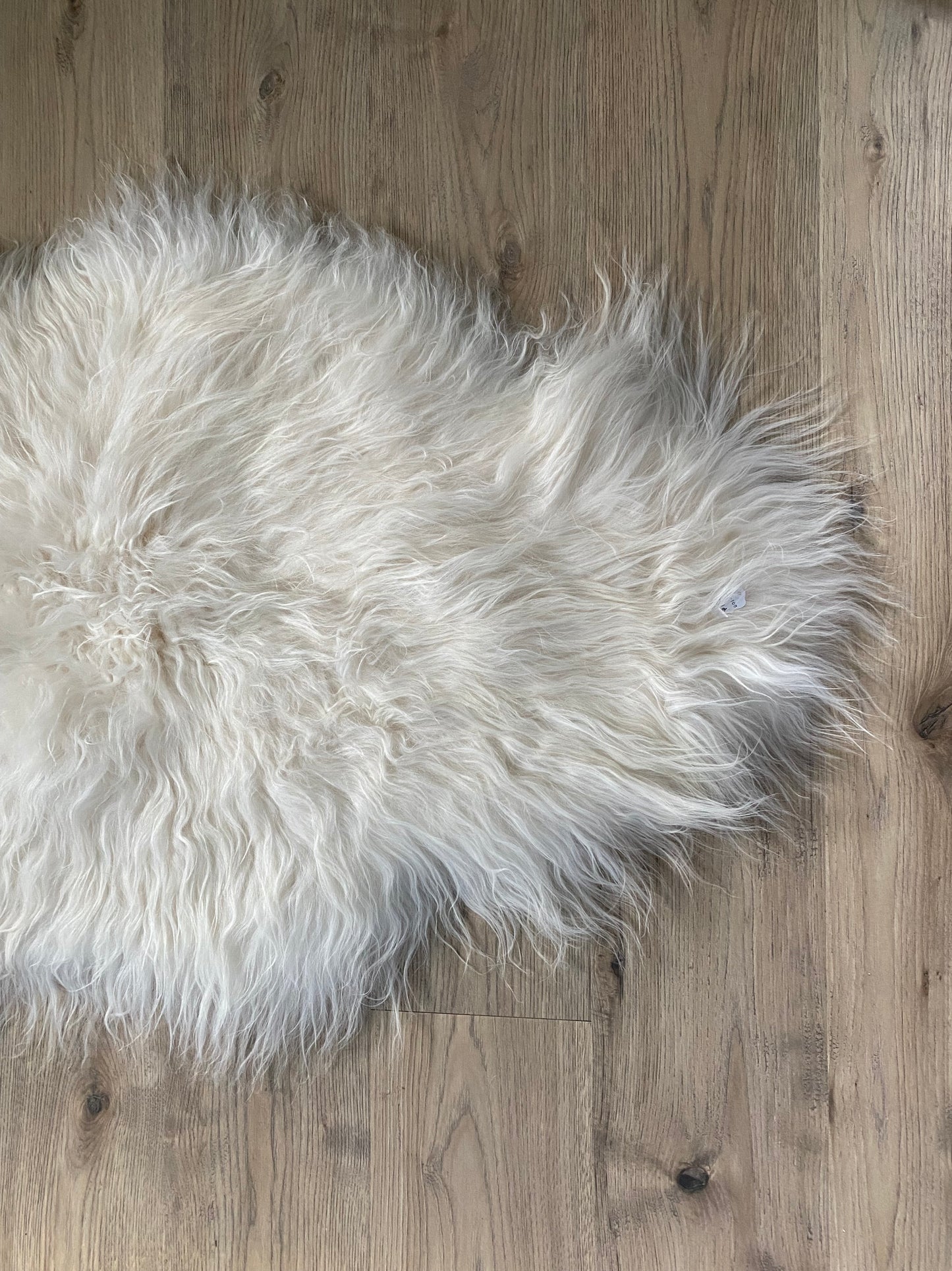 Real Icelandic Sheepskin White With Just a Little Bit of Cream