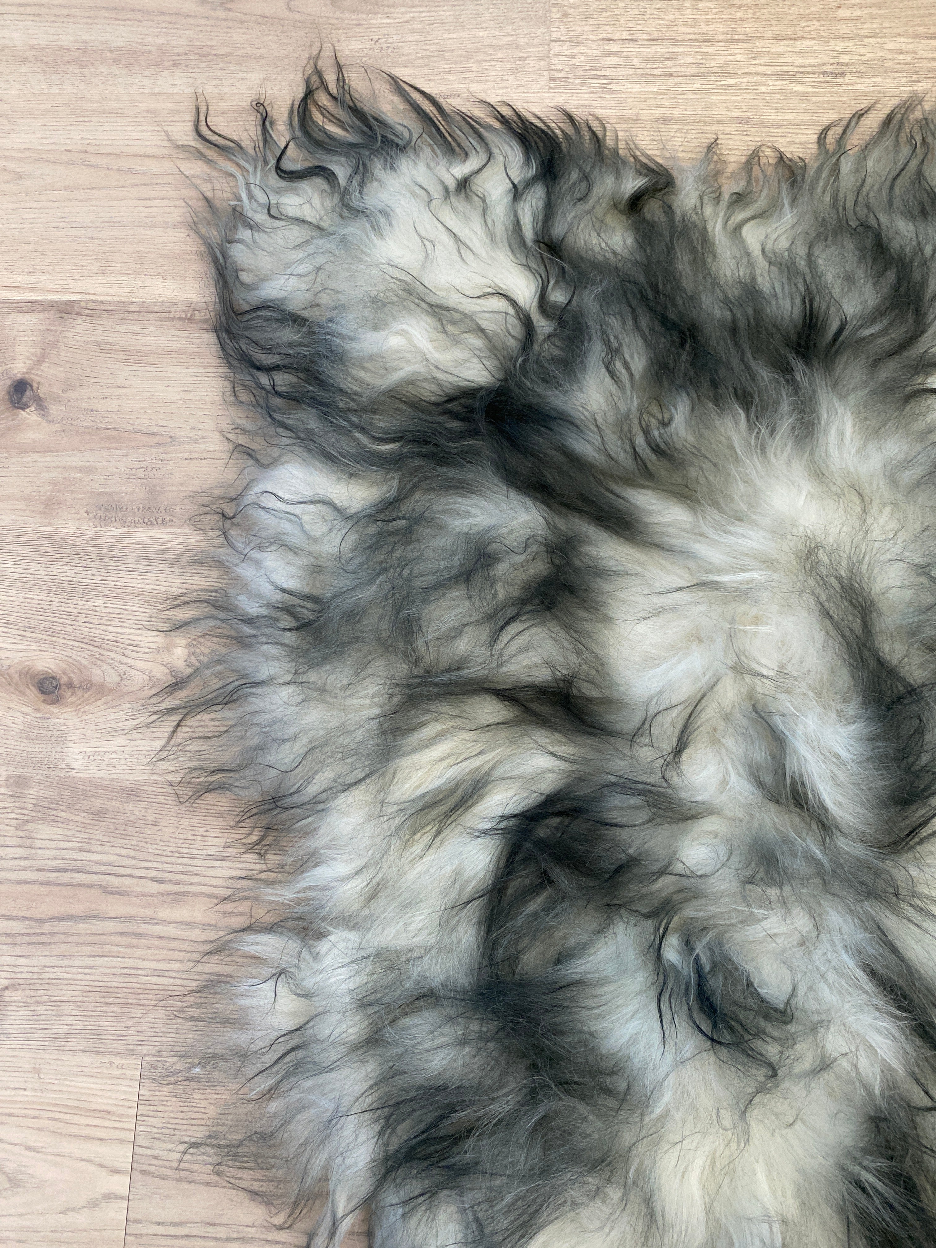 Where Have You Been All My Life?! Black Tipped Icelandic Sheepskin