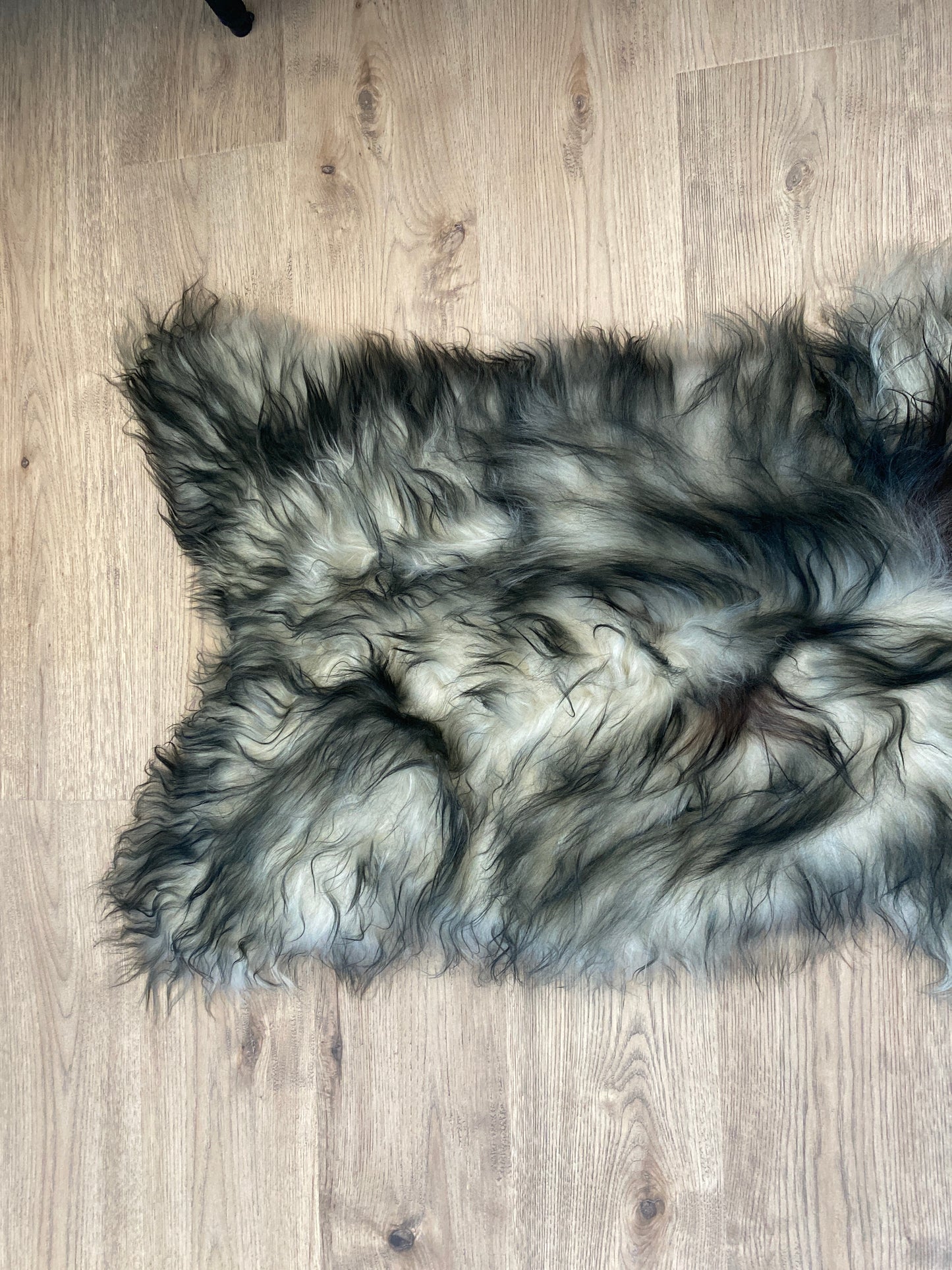 Genuine Icelandic Sheepskin Make a Statement!