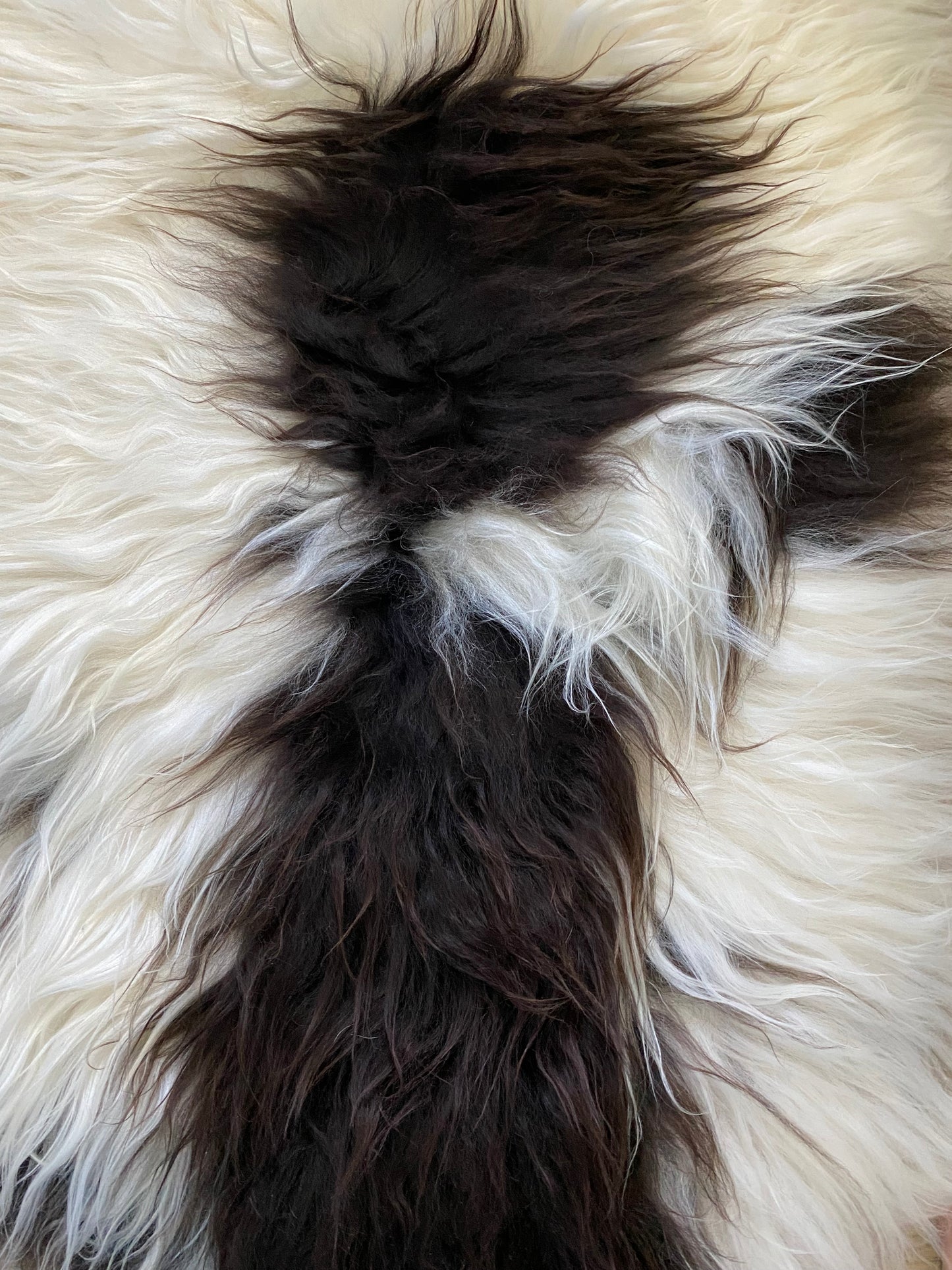 Spotted Brown Icelandic Sheepskin