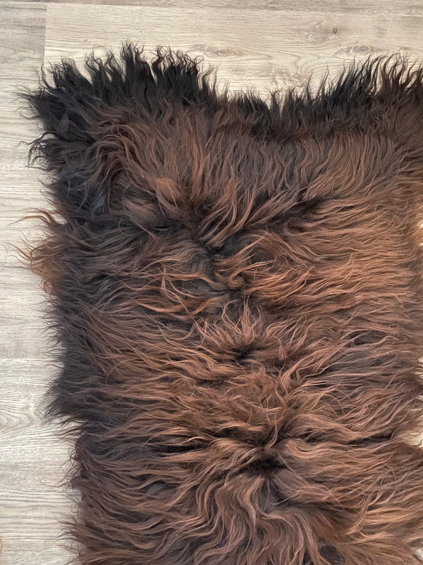 Icelandic Sheepskin Cuddle Up