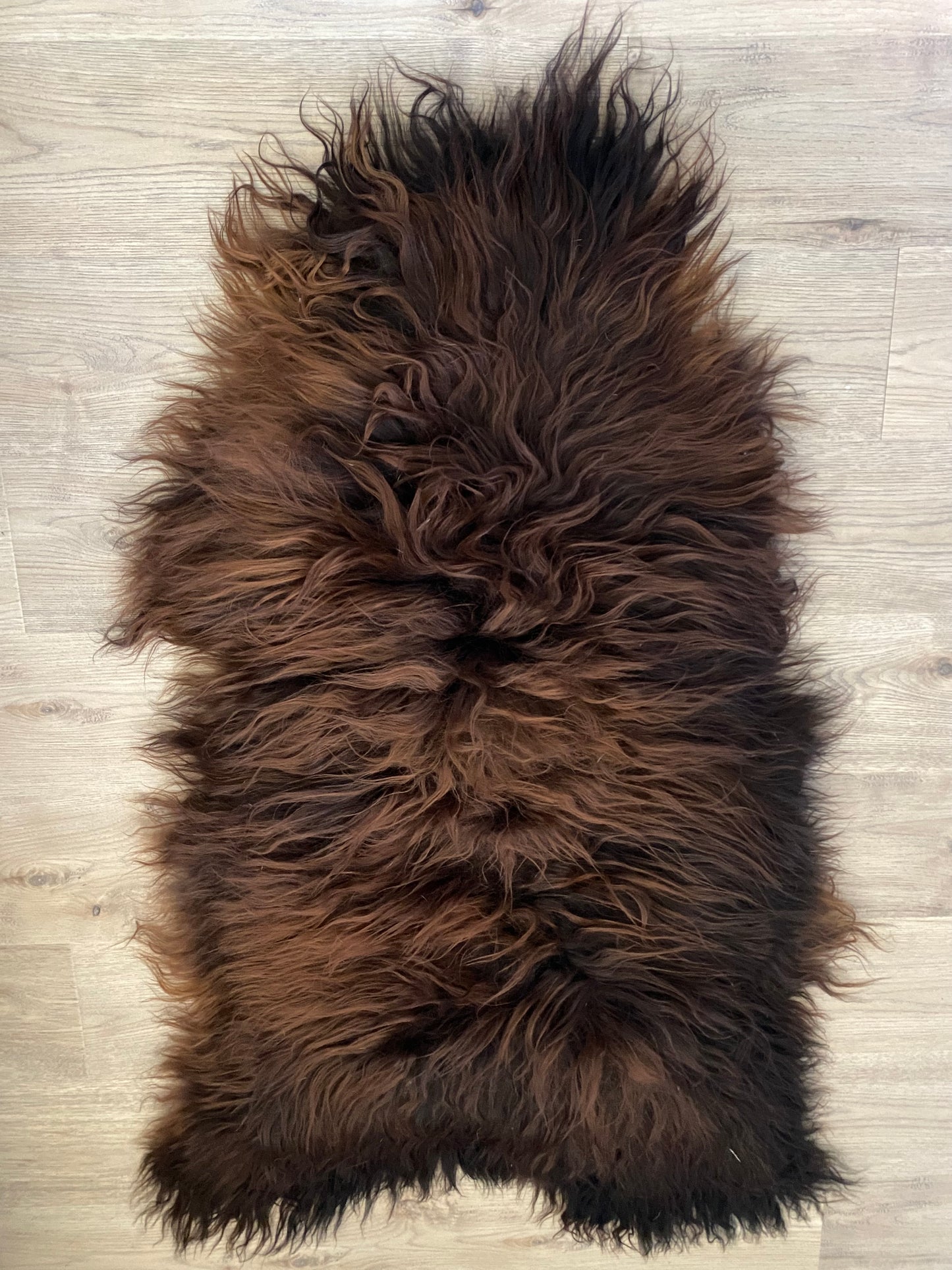 Icelandic Sheepskin Cuddle Up