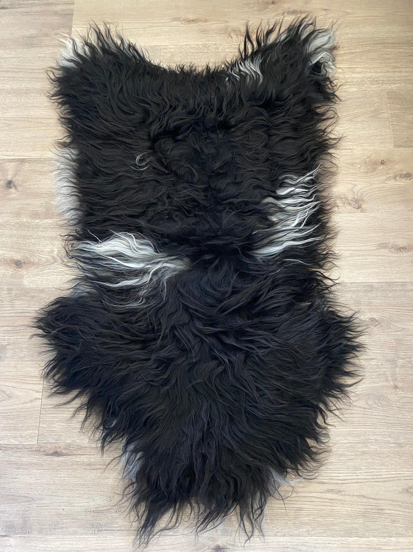 Everyone Loves A Piebald Icelandic Sheepskin