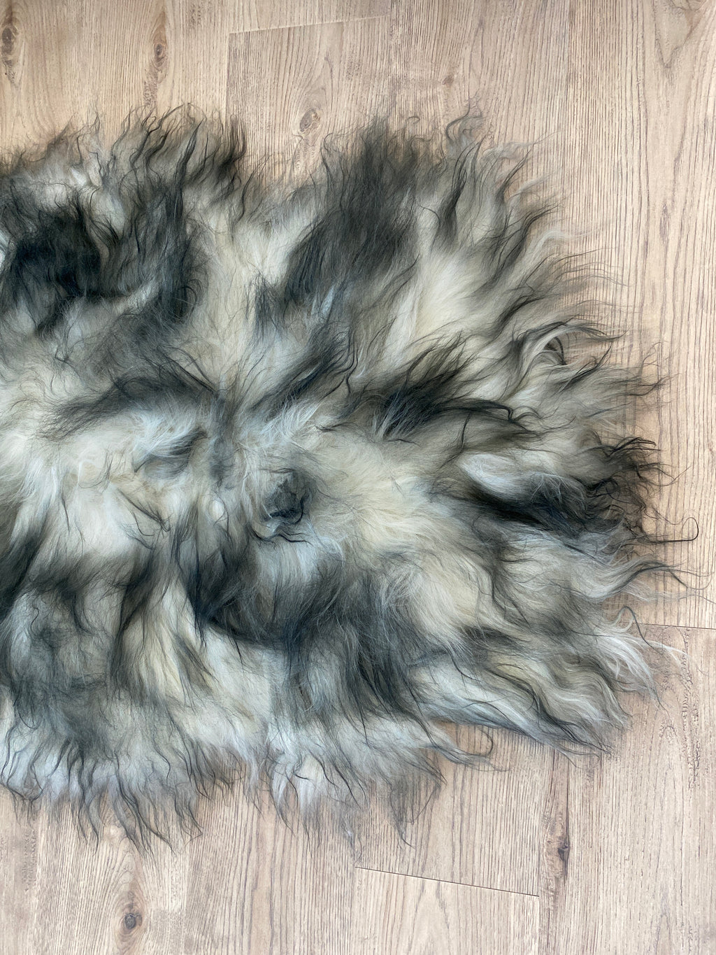 Where Have You Been All My Life?! Black Tipped Icelandic Sheepskin