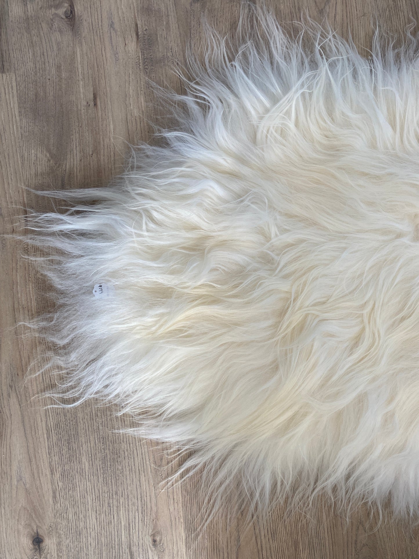 Genuine Icelandic Sheepskin White It Will Never Go Out of Style