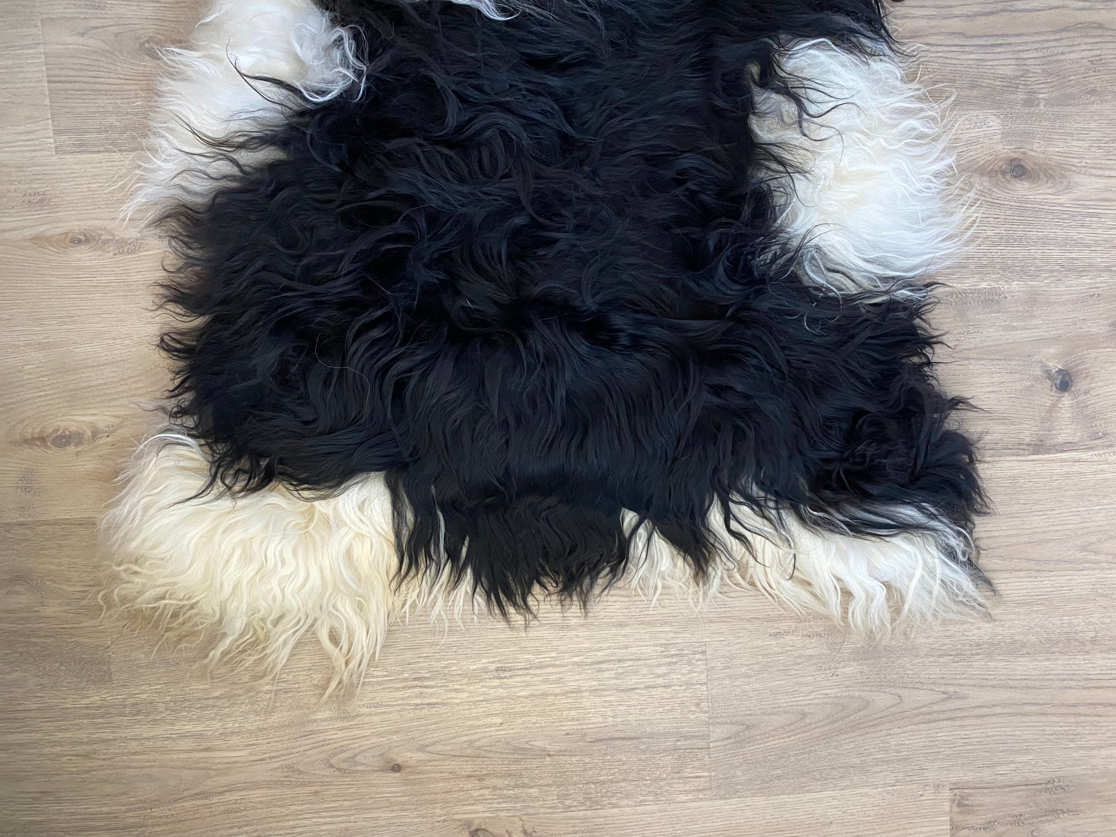 True Black Piebald Icelandic Sheepskin