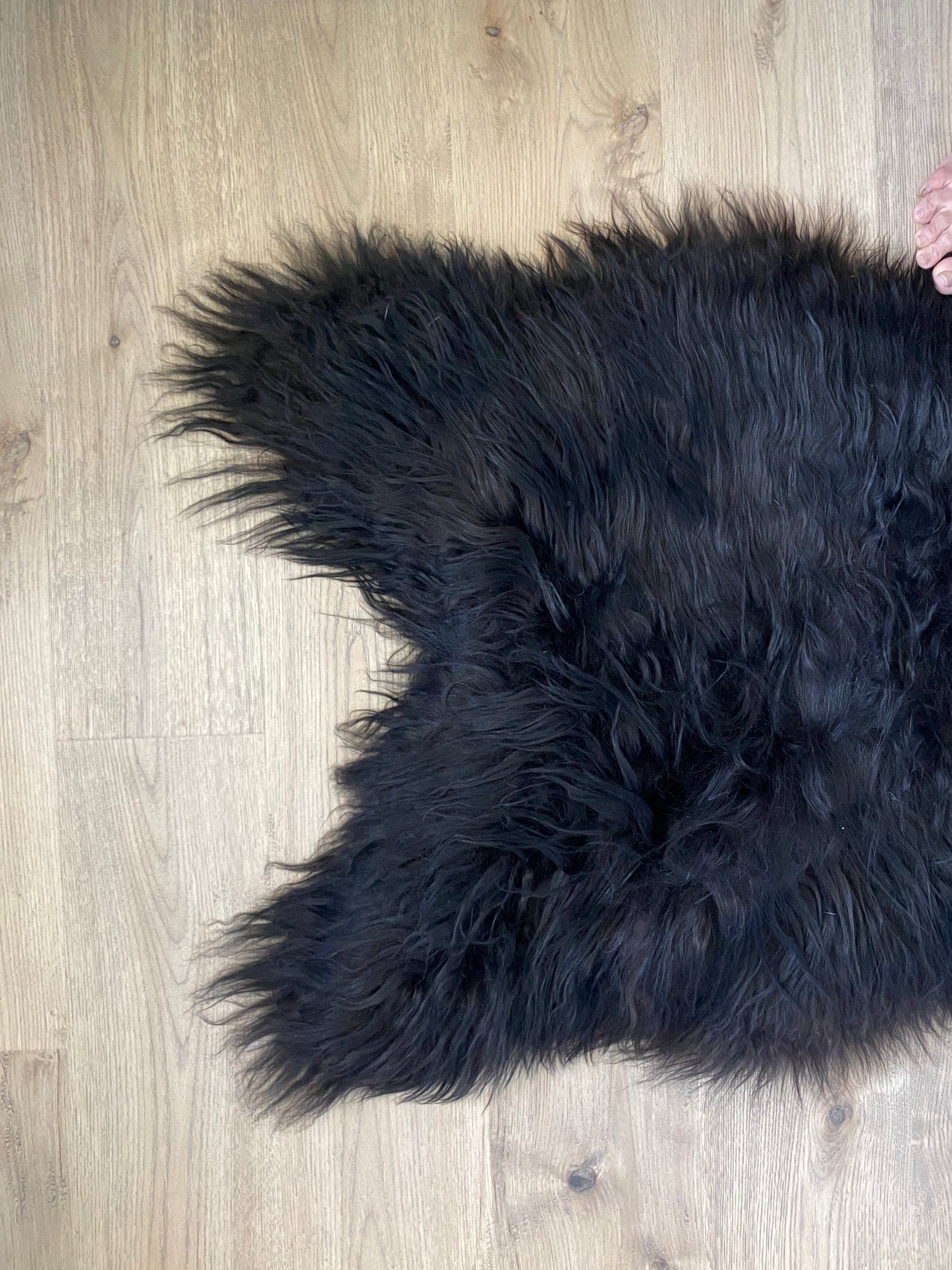 Black/Chocolate Brown Real Icelandic Sheepskin