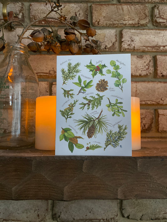 Winter Foliage Holiday Card