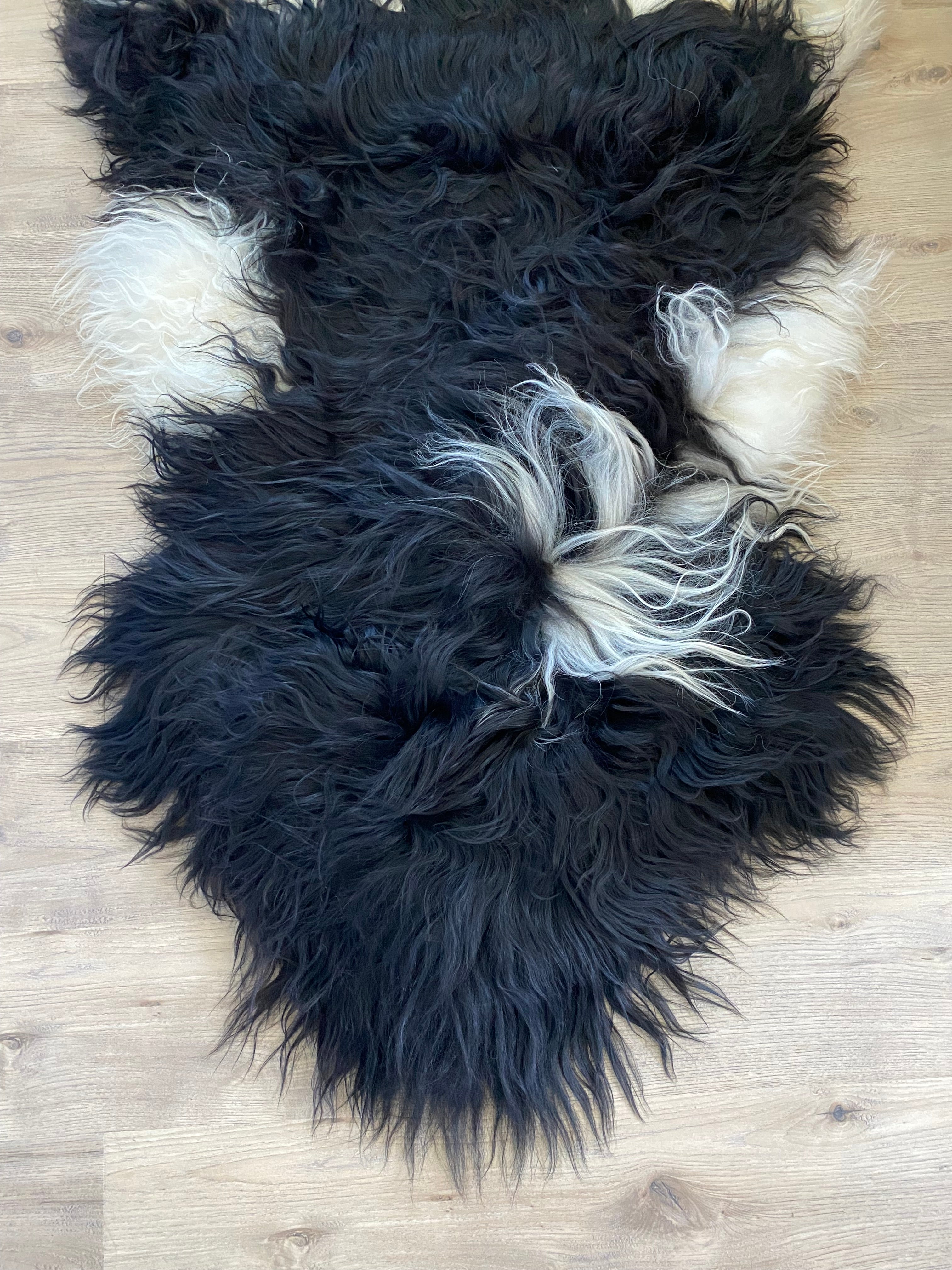 True Black Piebald Icelandic Sheepskin