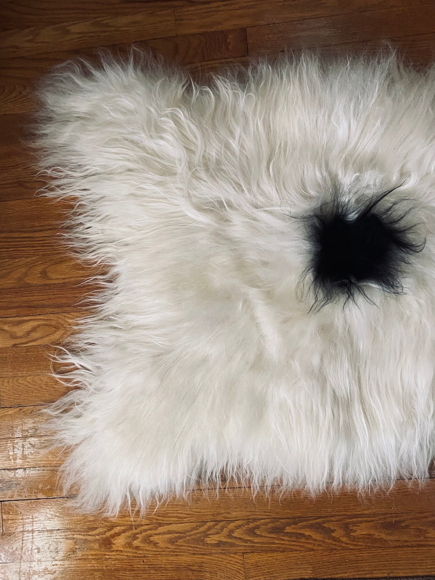 Super Silky Friend