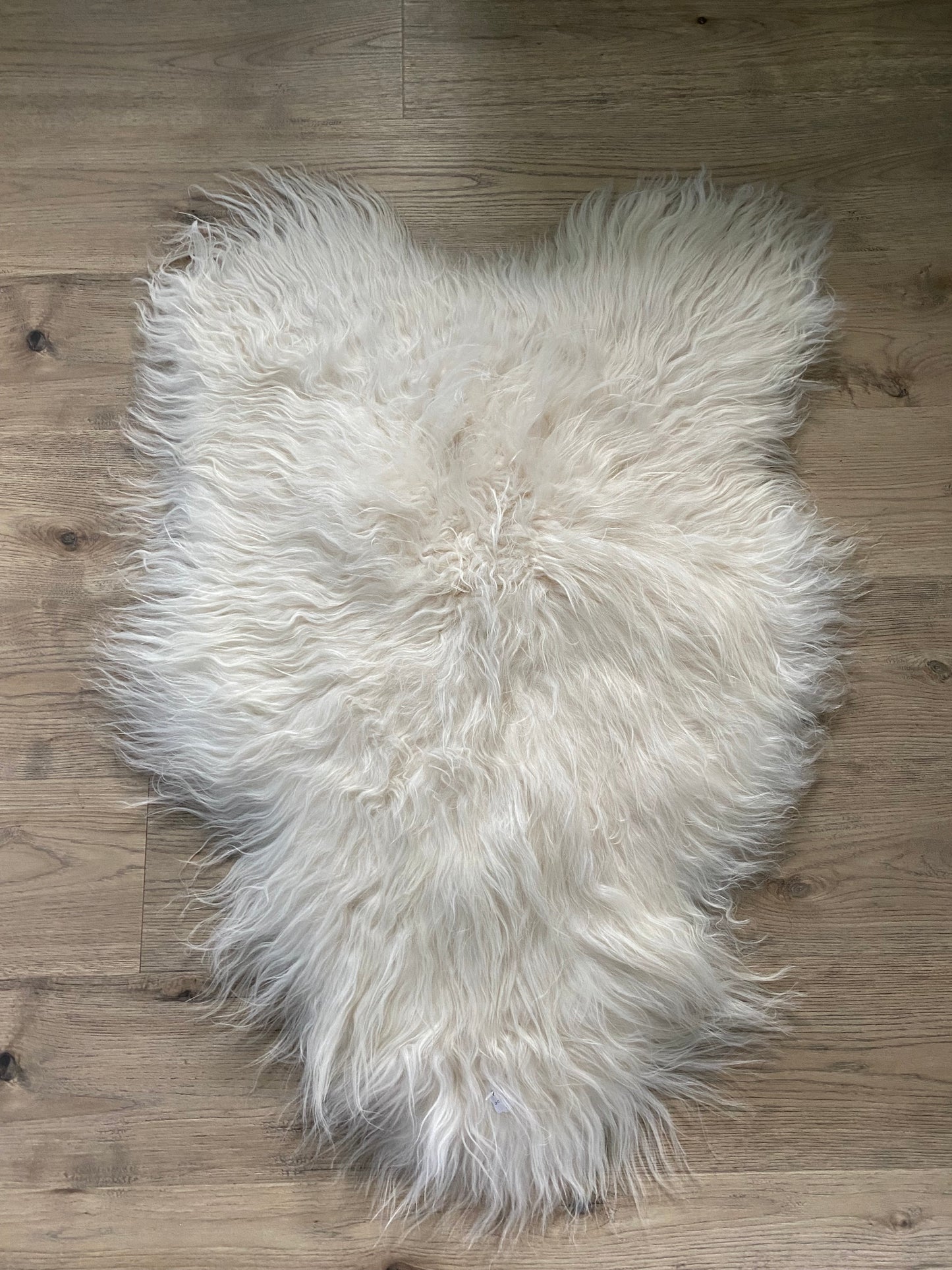 Real Icelandic Sheepskin White With Just a Little Bit of Cream