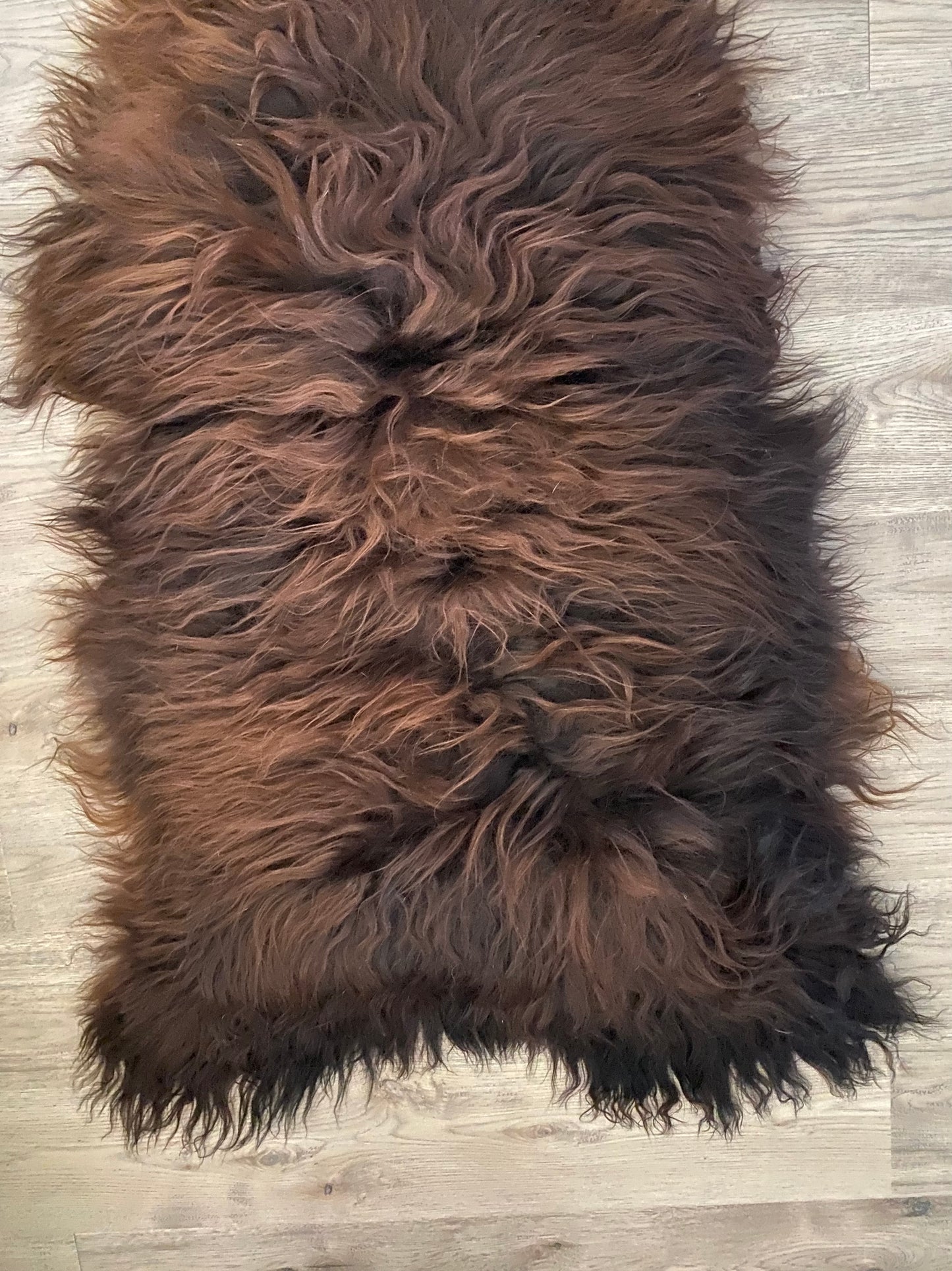 Icelandic Sheepskin Cuddle Up