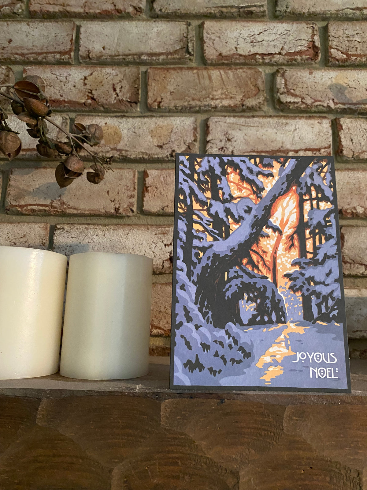 Joyous Noel Christmas Card