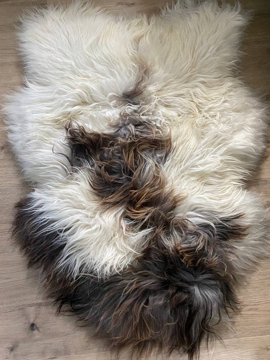 Real Icelandic Sheepskin Giant Cuddlemonster!
