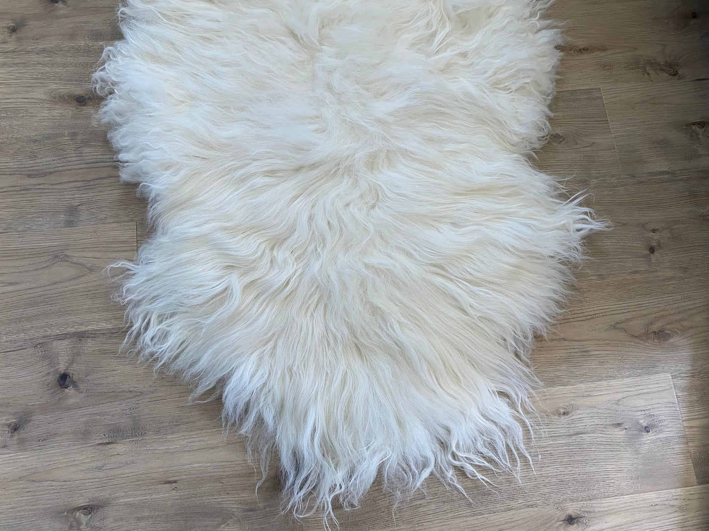 Genuine Icelandic Sheepskin White With Super Secret Stripe