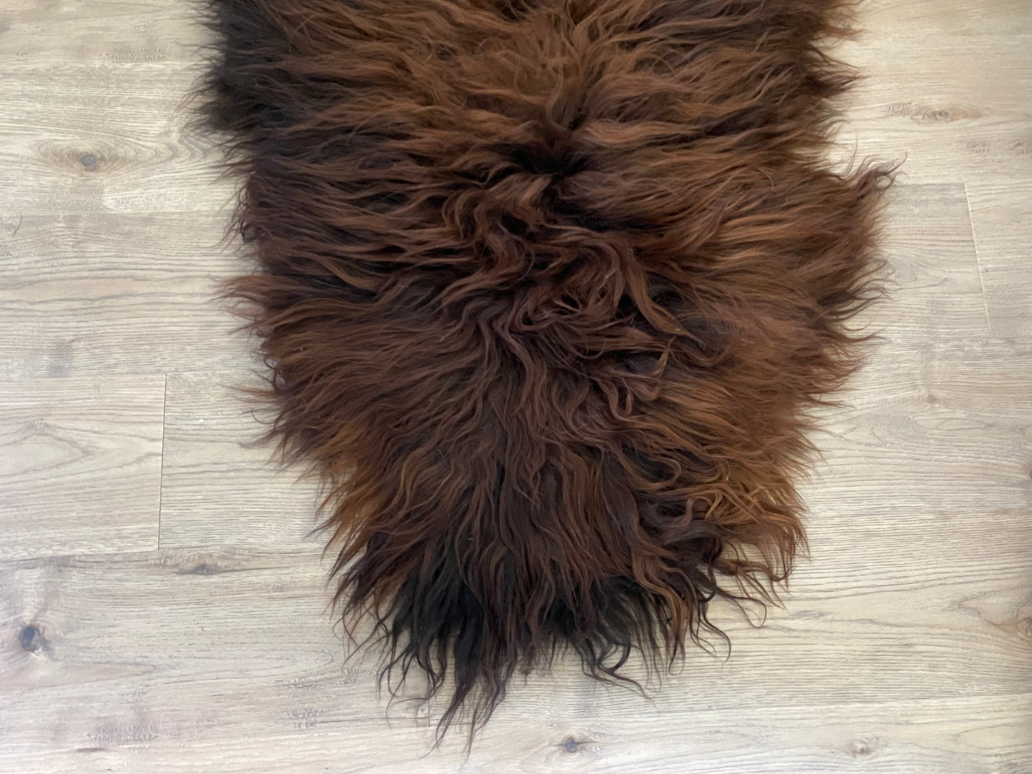 Icelandic Sheepskin Cuddle Up